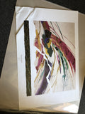 Steve Strickland 1993 “Crystal Rhythm II” Devon Editions 36”x24”0