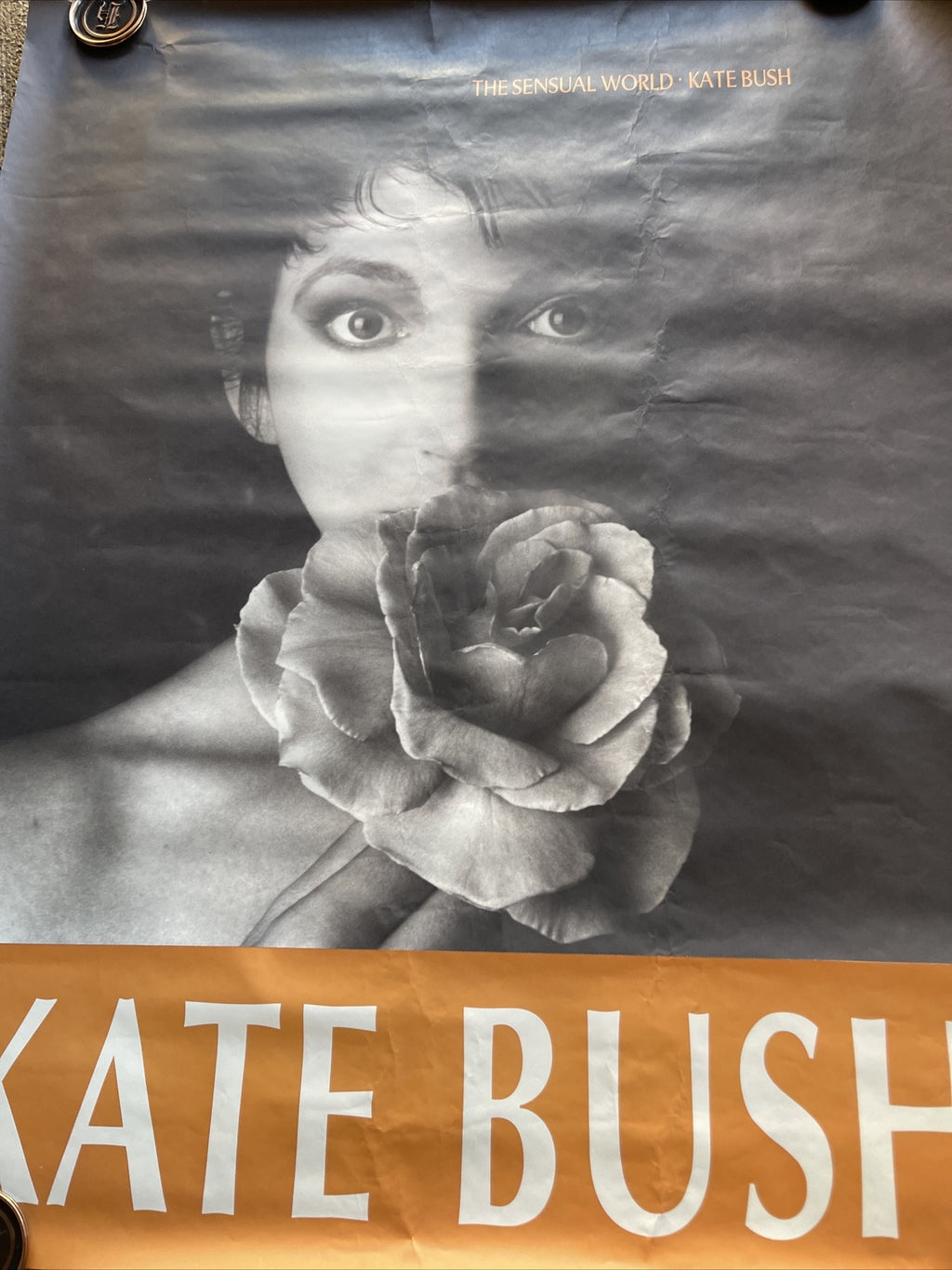 #186 1989 Kate Bush Sensual World Record Store Subway Promo Poster 45x36”4