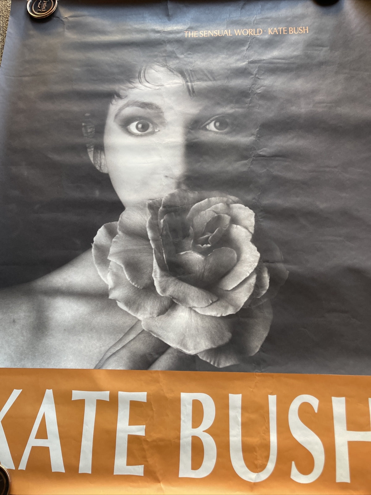 #186 1989 Kate Bush Sensual World Record Store Subway Promo Poster 45x36”4