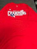 NWT NY Giants Superbowl XLII Champions NFL TEAM APPAREL T-shirt 2XL Gray 20080