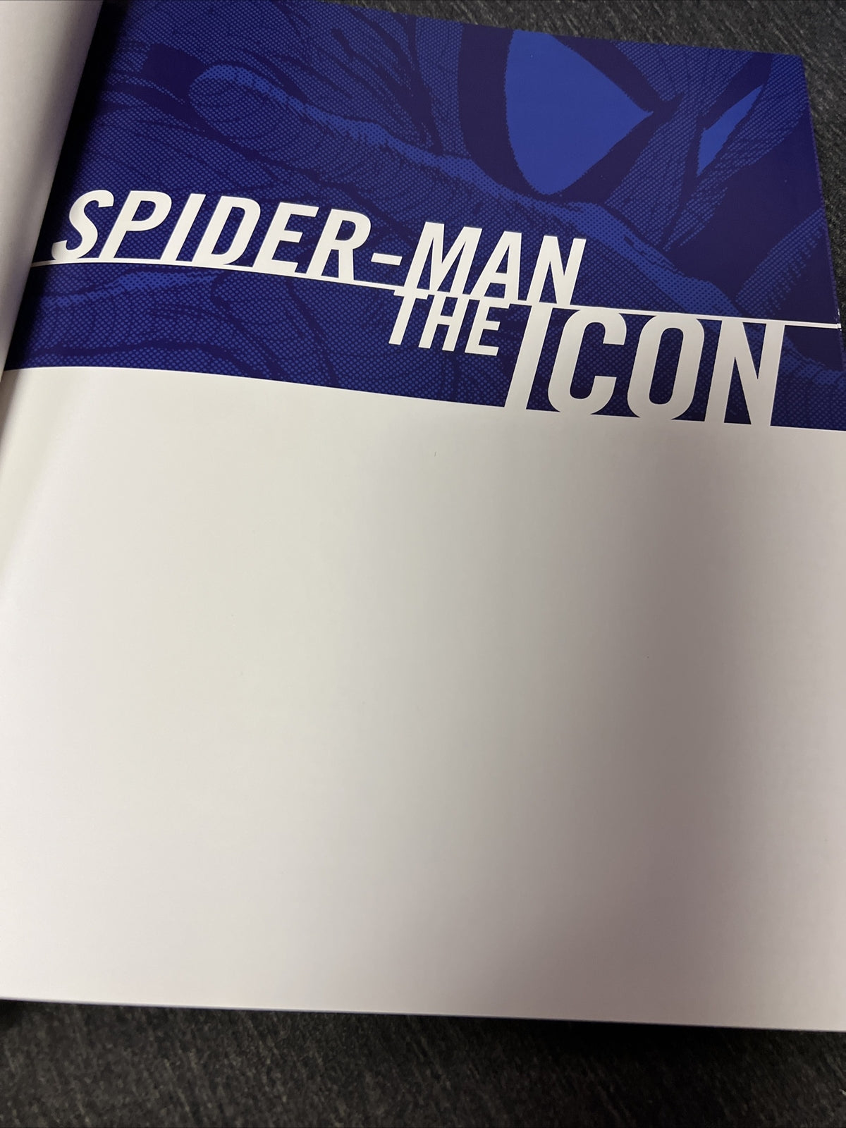 Spider-Man the Icon: The Life and Times of a Pop Culture Phenomenon (2007)1
