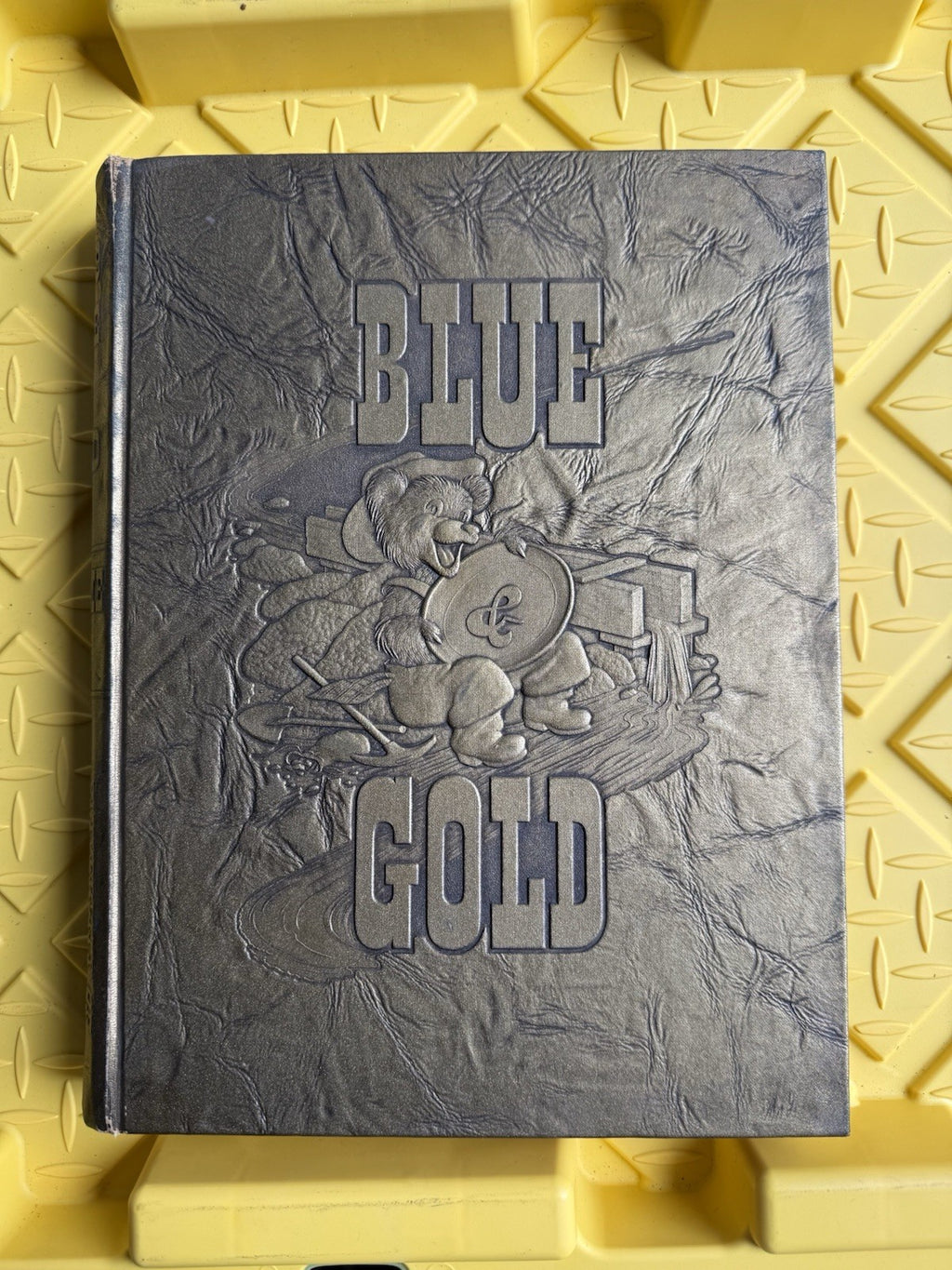 Blue and Gold 1949 UNIVERSITY OF CALIFORNIA Yearbook - Vol 76 -  Berkeley Book0