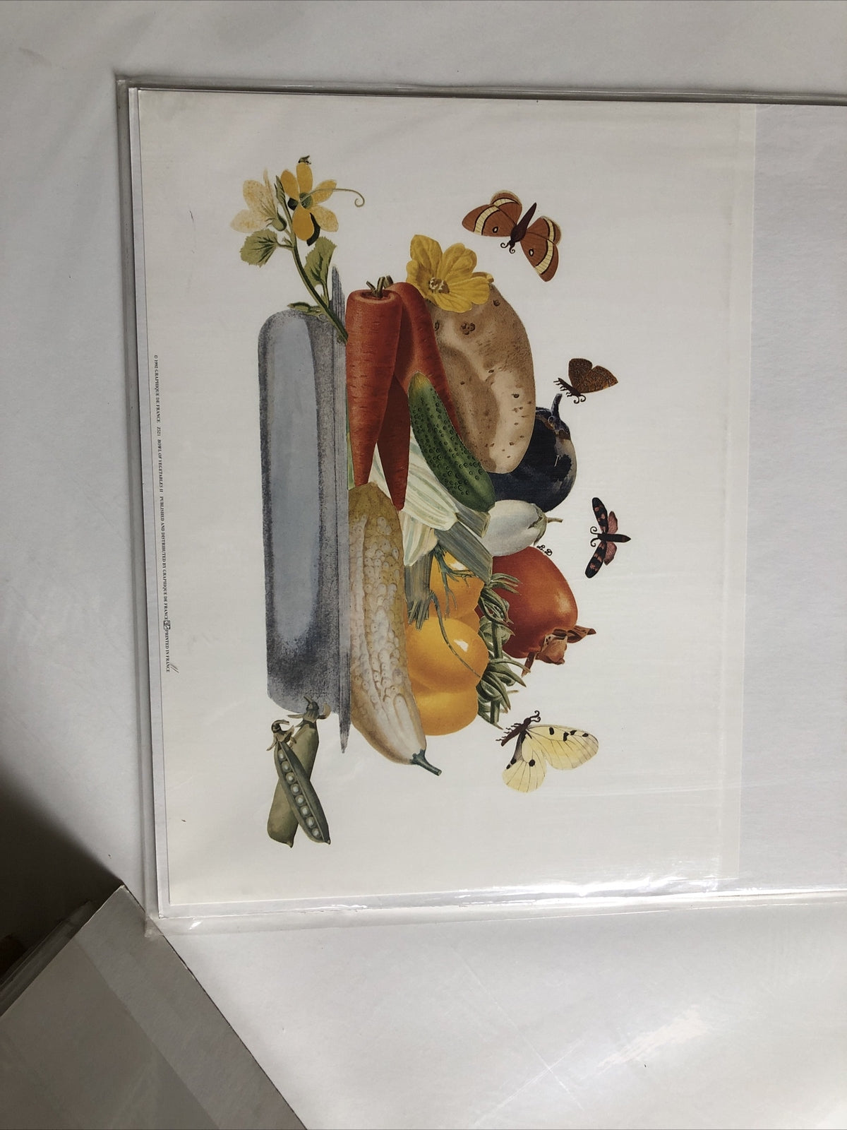 1992 Graphique de France (Bowl Of Vegetables II) 15.5”x12”0