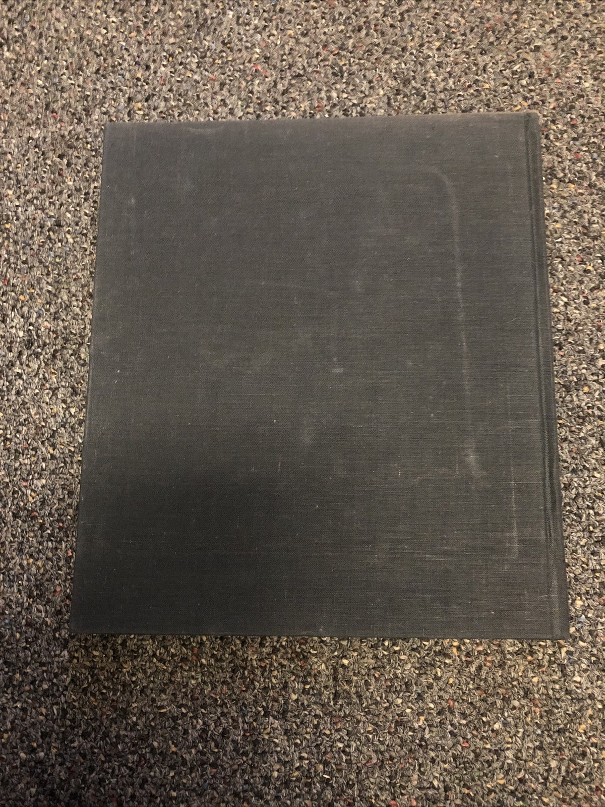 1961 CEZANNE Basil Taylor Marboro Books NY Art & Photography5