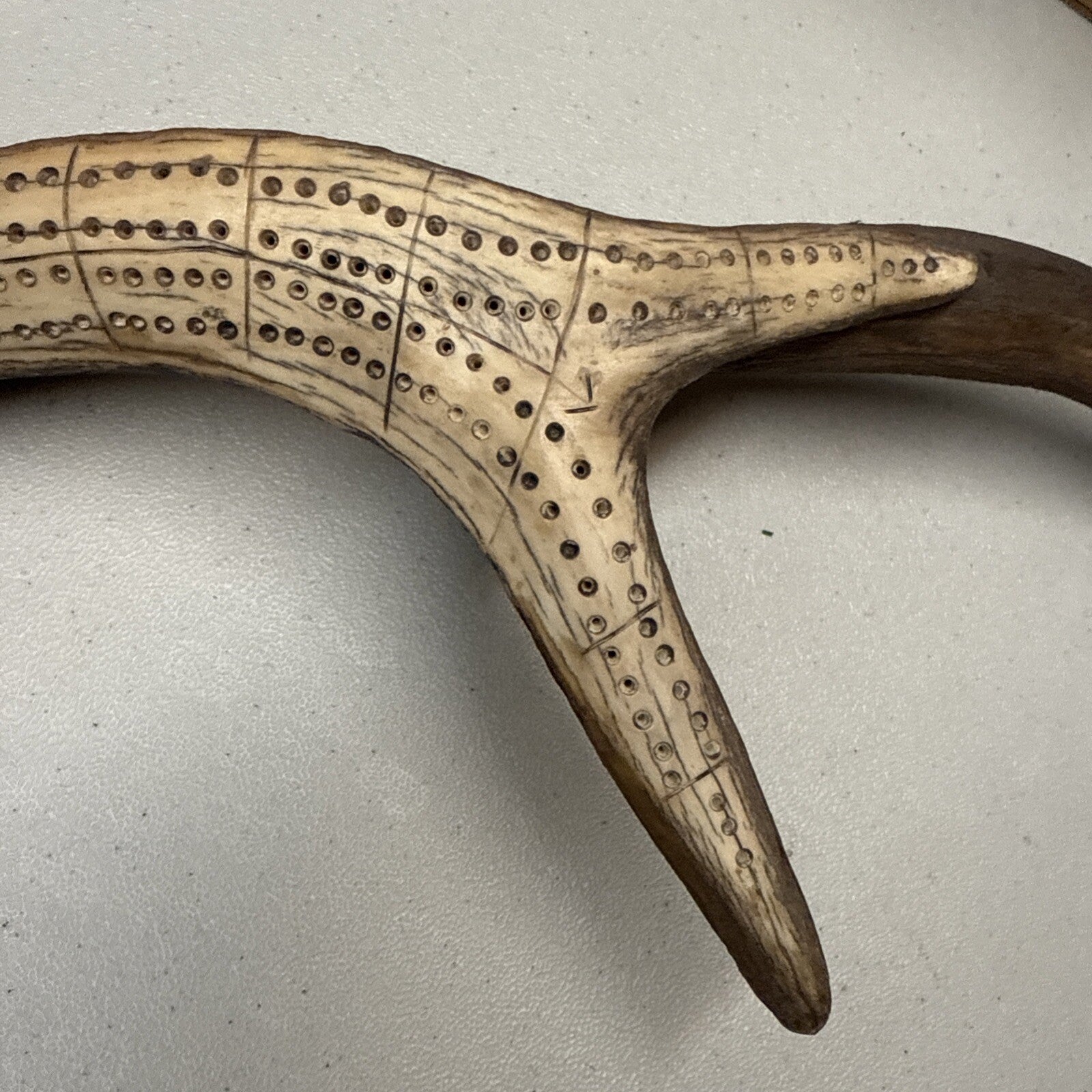 Unique and Rare Elk Antler Carved Cribbage Board Sculpture !!!  21”3