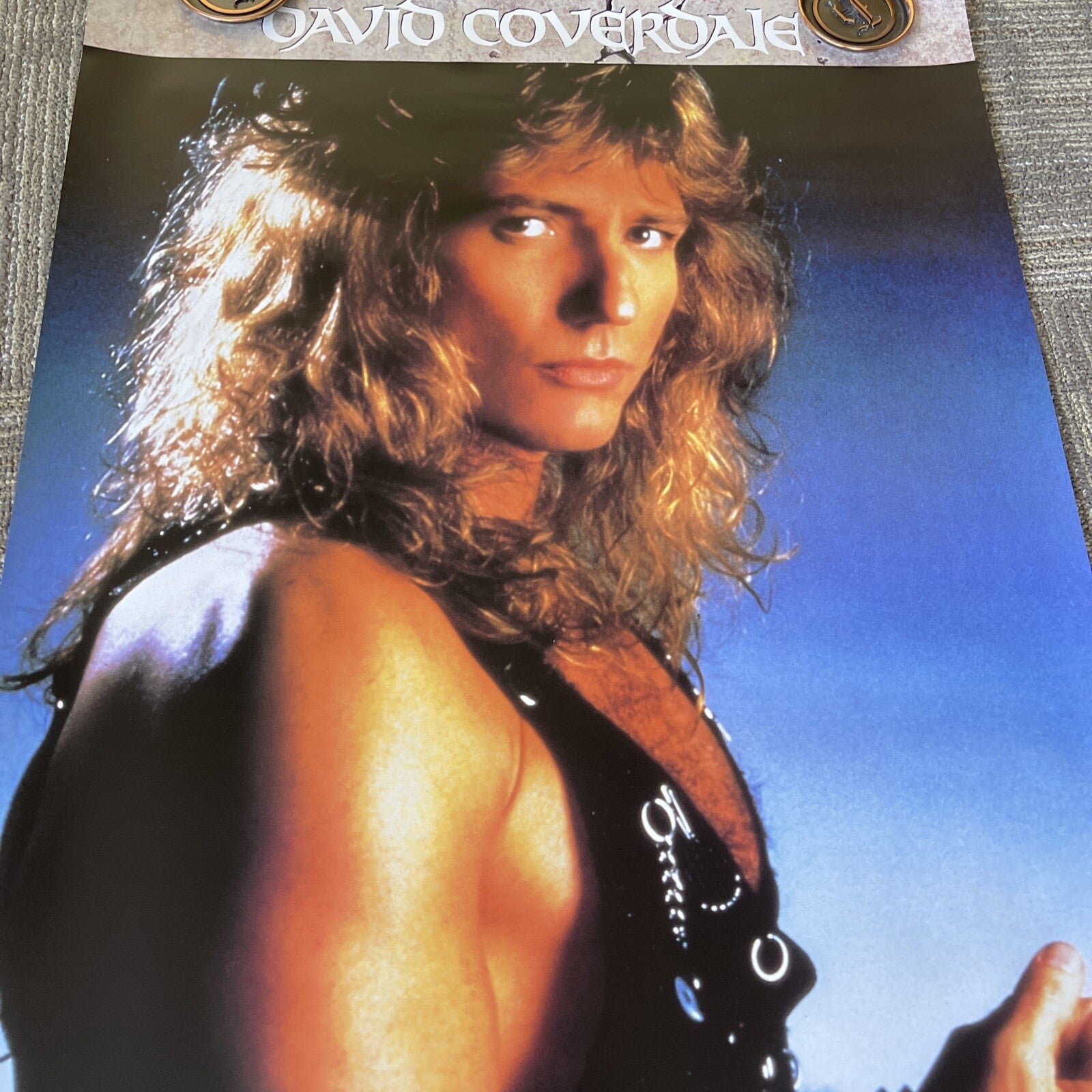 1987 Whitesnake David Coverdale Record Store Promo Poster #533