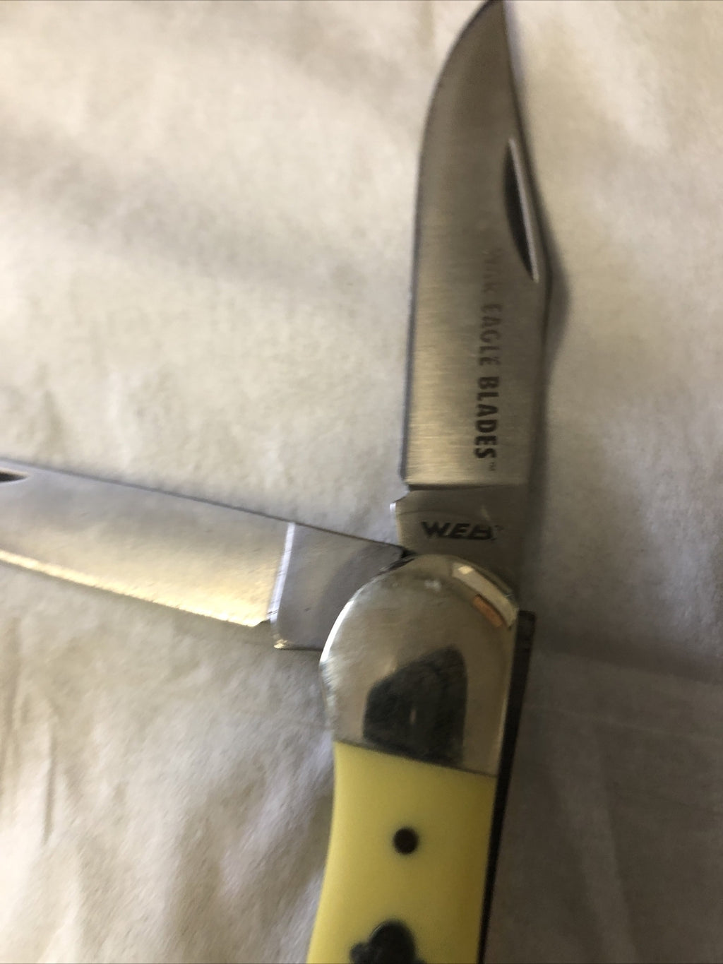 WAR EAGLE BLADES W.E.B FOLDING POCKET KNIFE 2 BLADES2