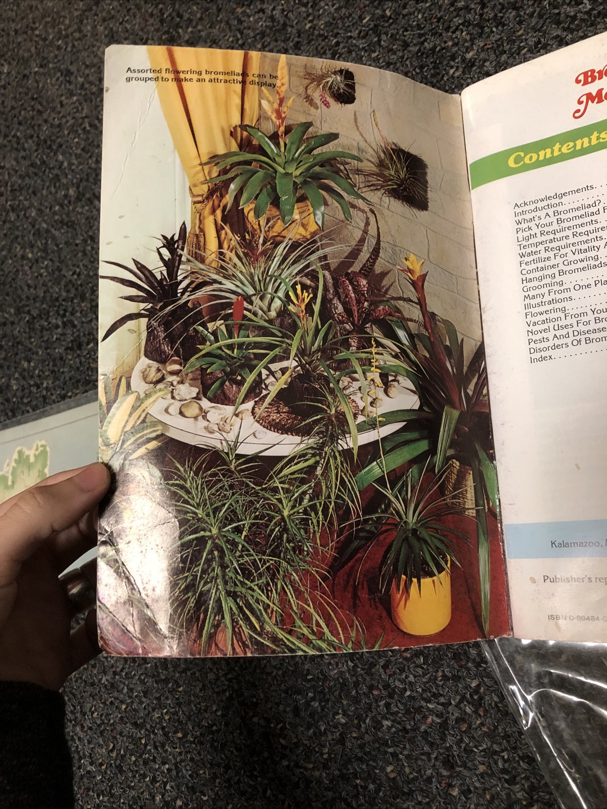 BROMELIADS FOR MODERN LIVING By Louis Wilson 80s House Plants For The Home1