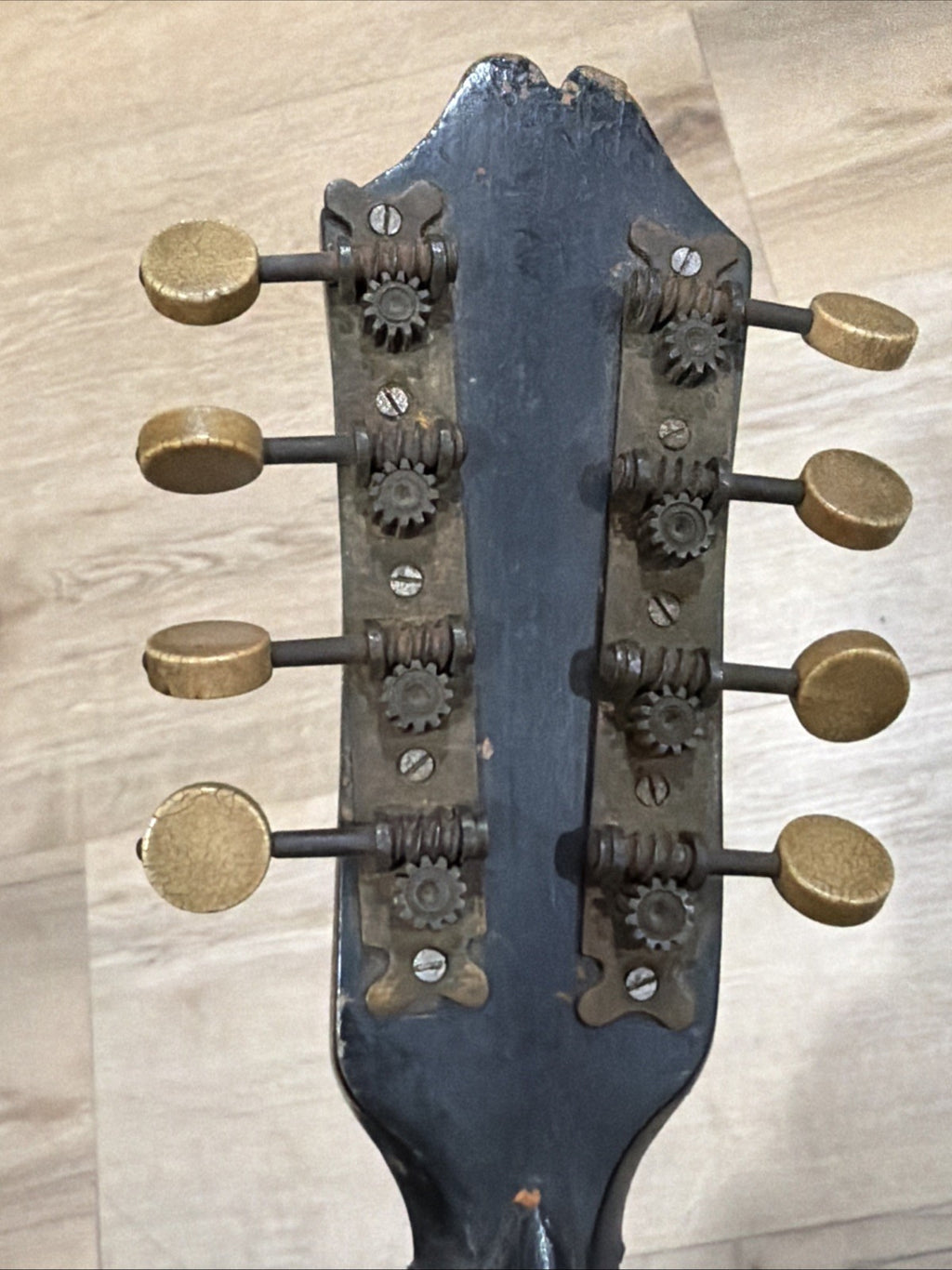 Antique Mandolin 1800s4