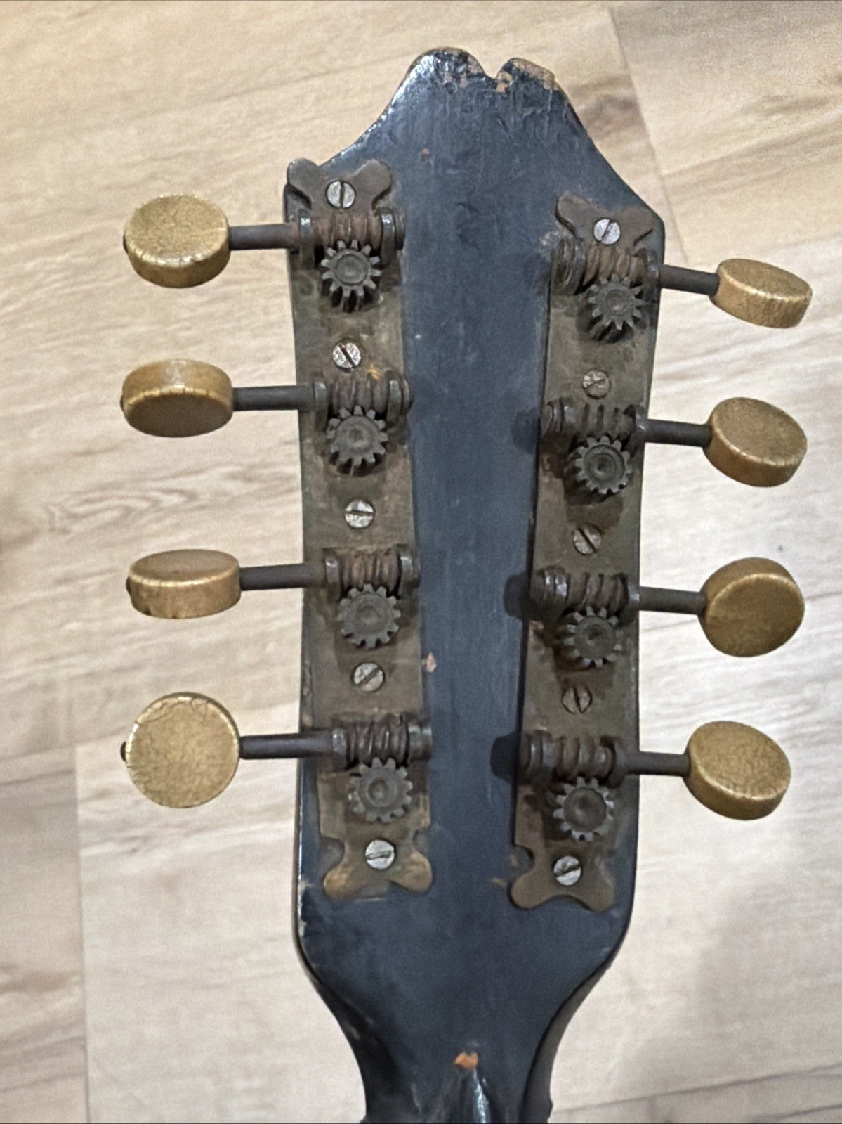Antique Mandolin 1800s4