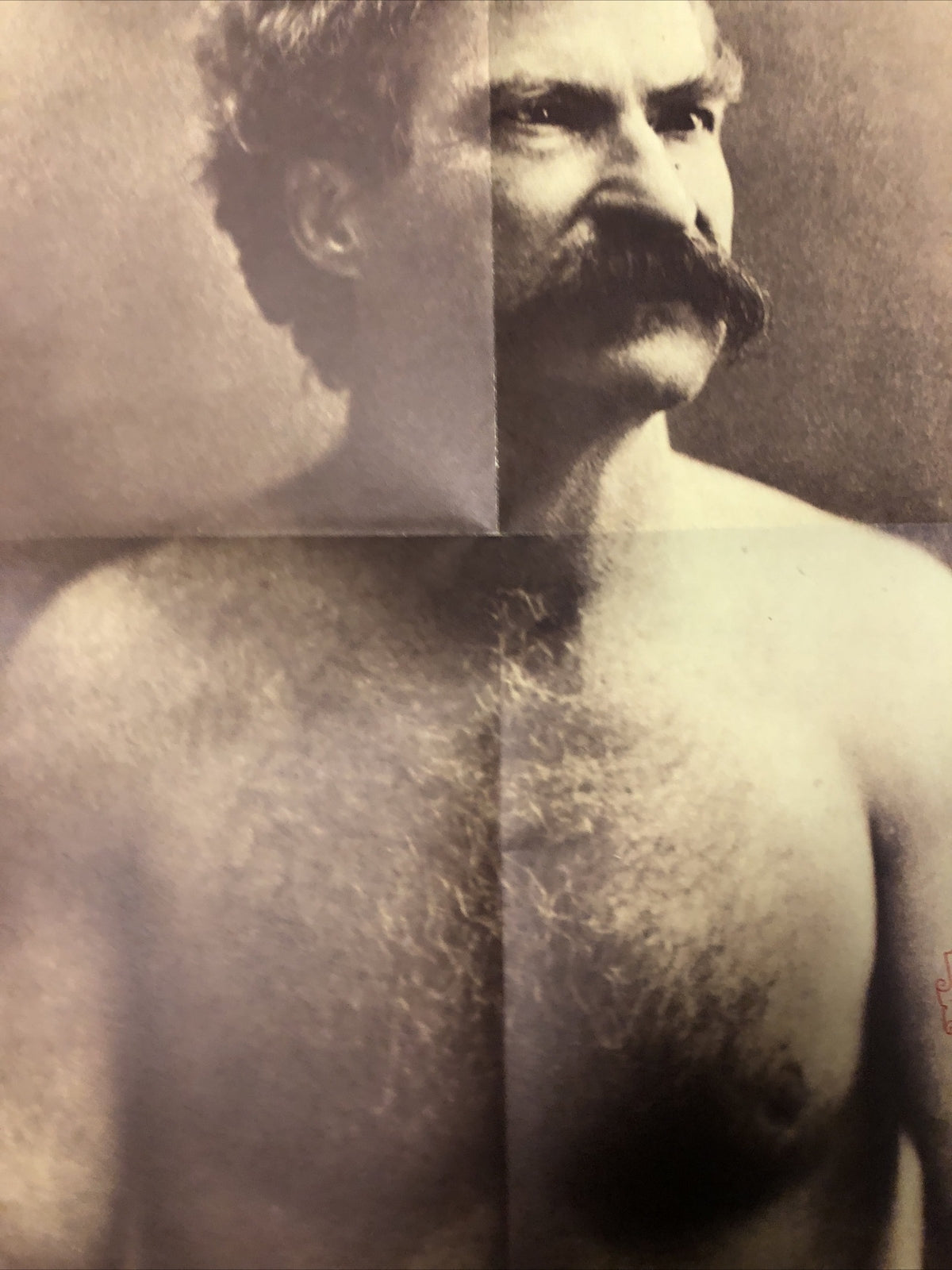 Rare Poster MARK TWAIN Iowa-California Publishing 1973 Berkeley Los Angeles NY1