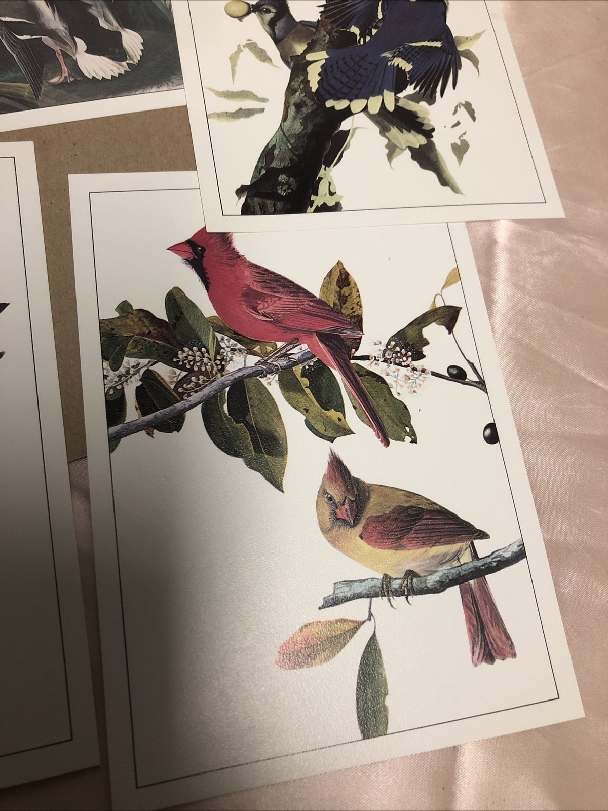 4 John James Audubon Litho Repros 5"x7" Birds & Duck Prints2