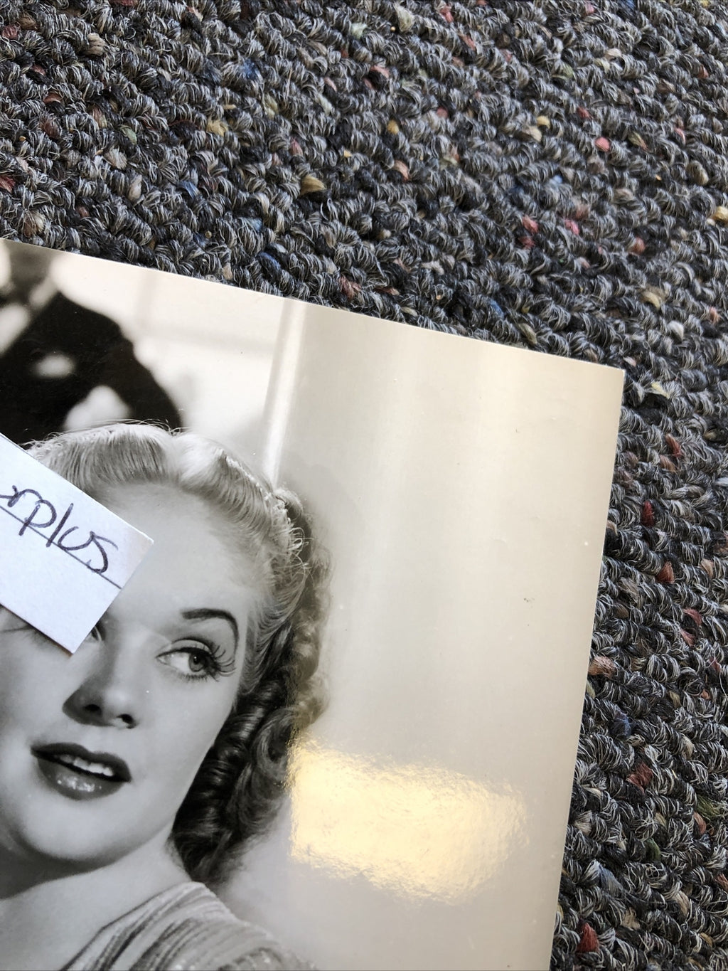 Rare Original Unpublished Photo Of ALICE FAYE Photograph Glamour Shot 7”x4.5”2