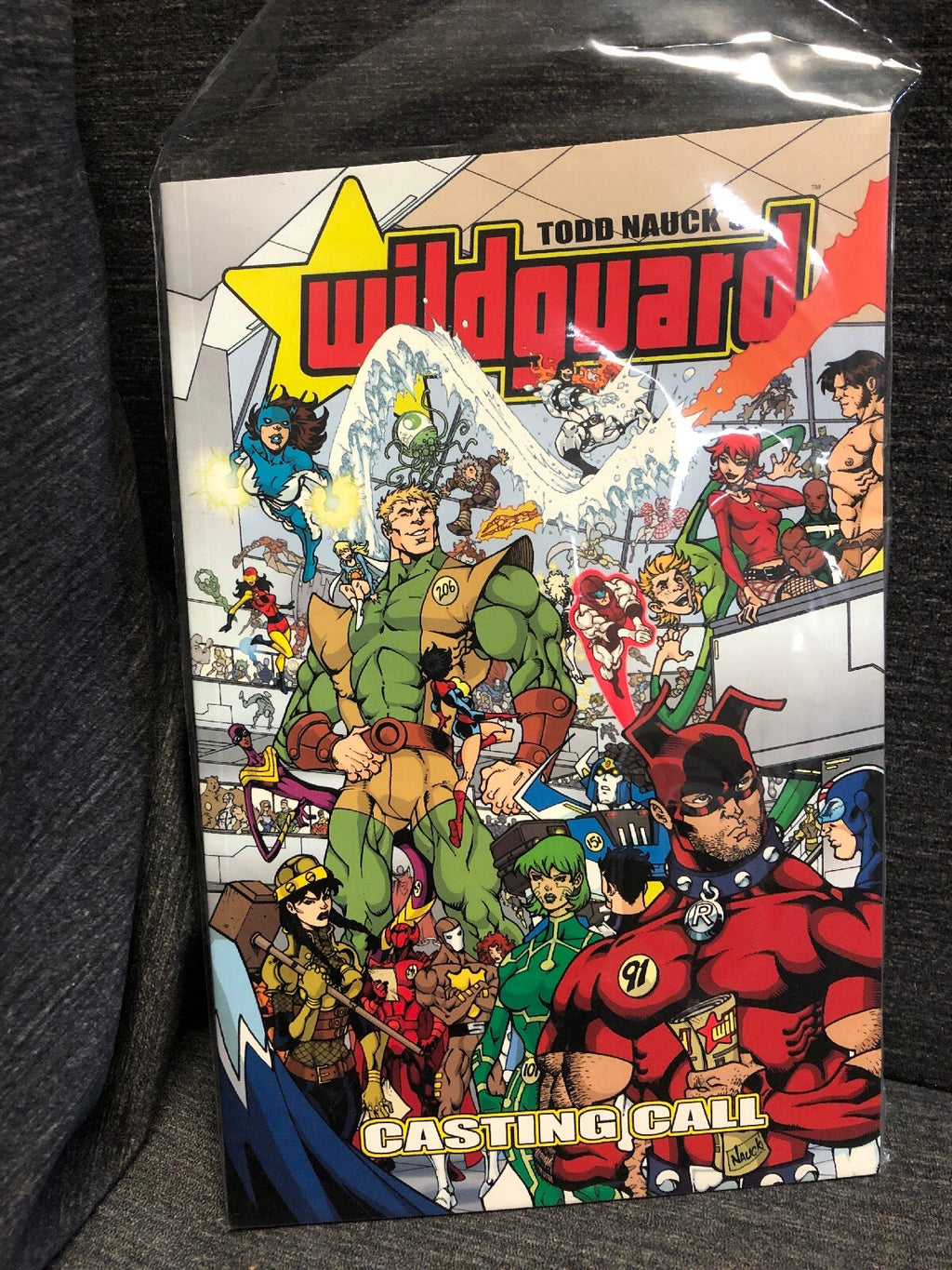 WILDGUARD: CASTING CALL (WILDGUARD CASTING CALL TP) By Todd Nauck0