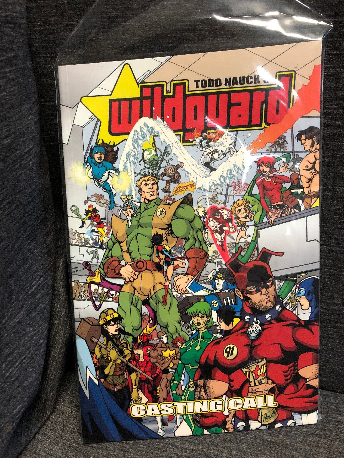 WILDGUARD: CASTING CALL (WILDGUARD CASTING CALL TP) By Todd Nauck0