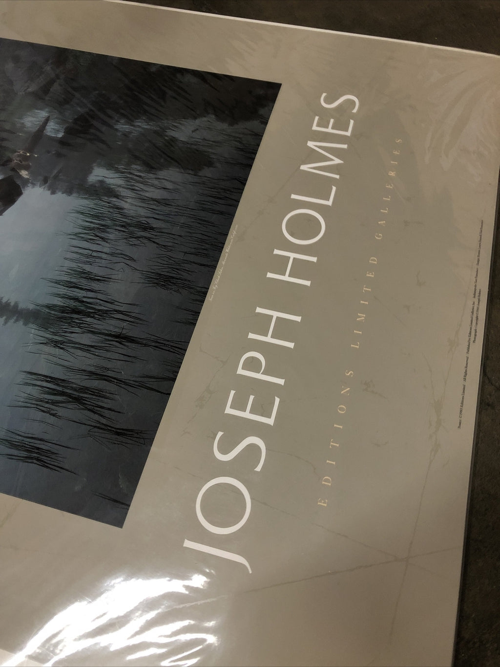 Joseph Holmes 1985 Editions Limited Galleries Poster 35”x25” (Trees In Fog)1