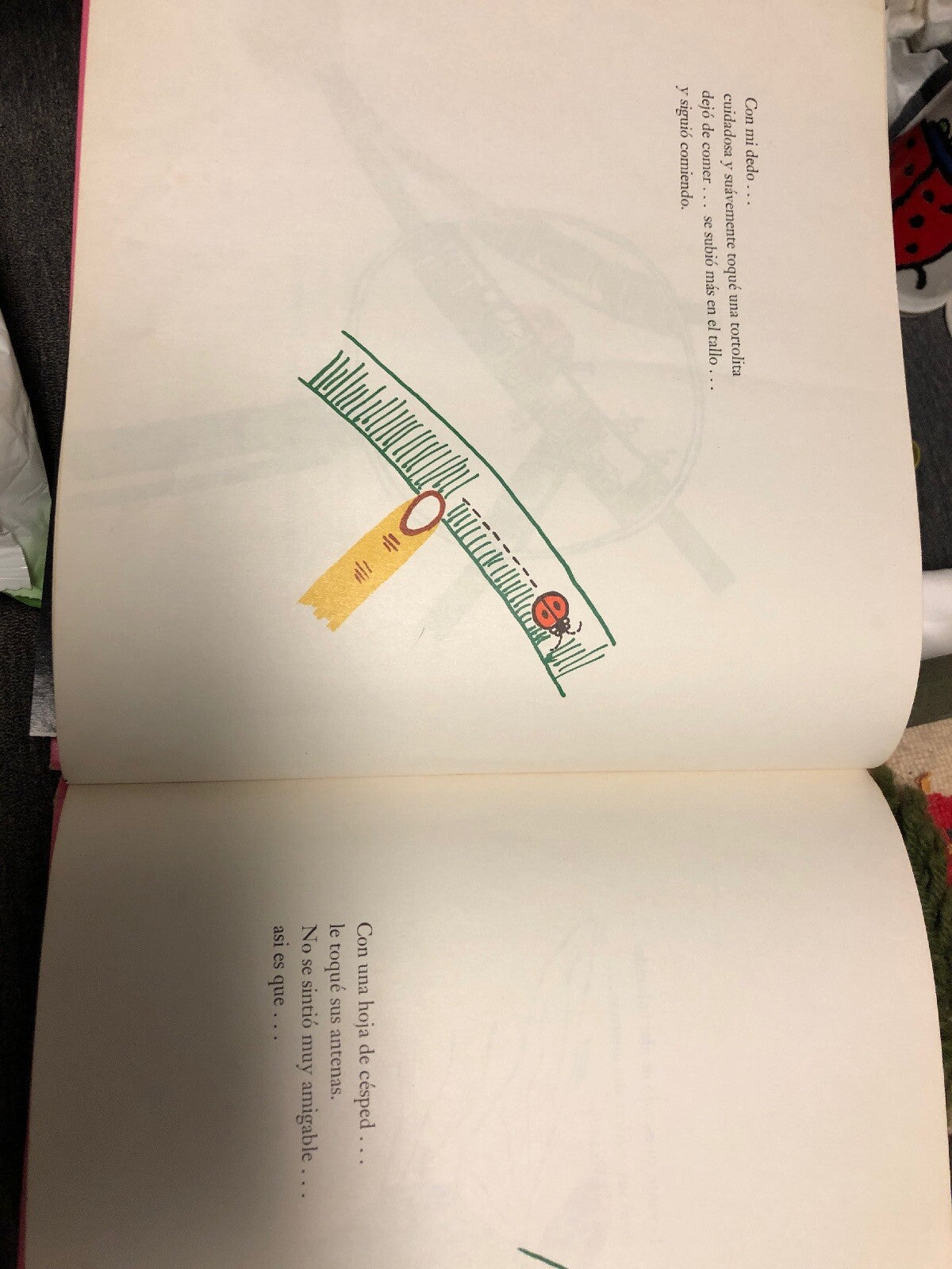 VTG 1972 RARE Ladybug Ward Ritchie Press Tortolita O Mariquita KELLY LOCKWOOD3