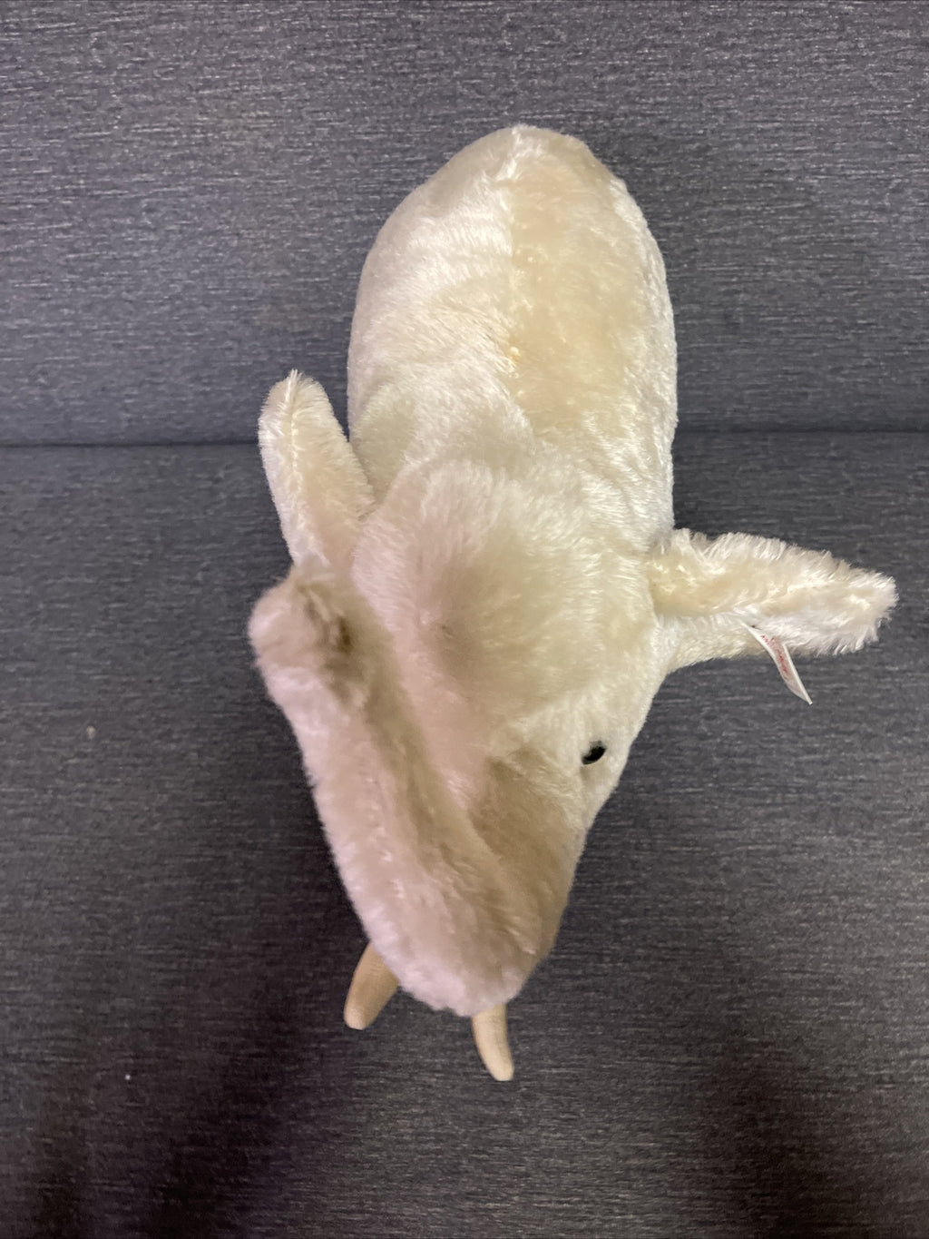 VTG STEIFF Original  White Elephant Germany w/Button Tag RARE Trunk Up4
