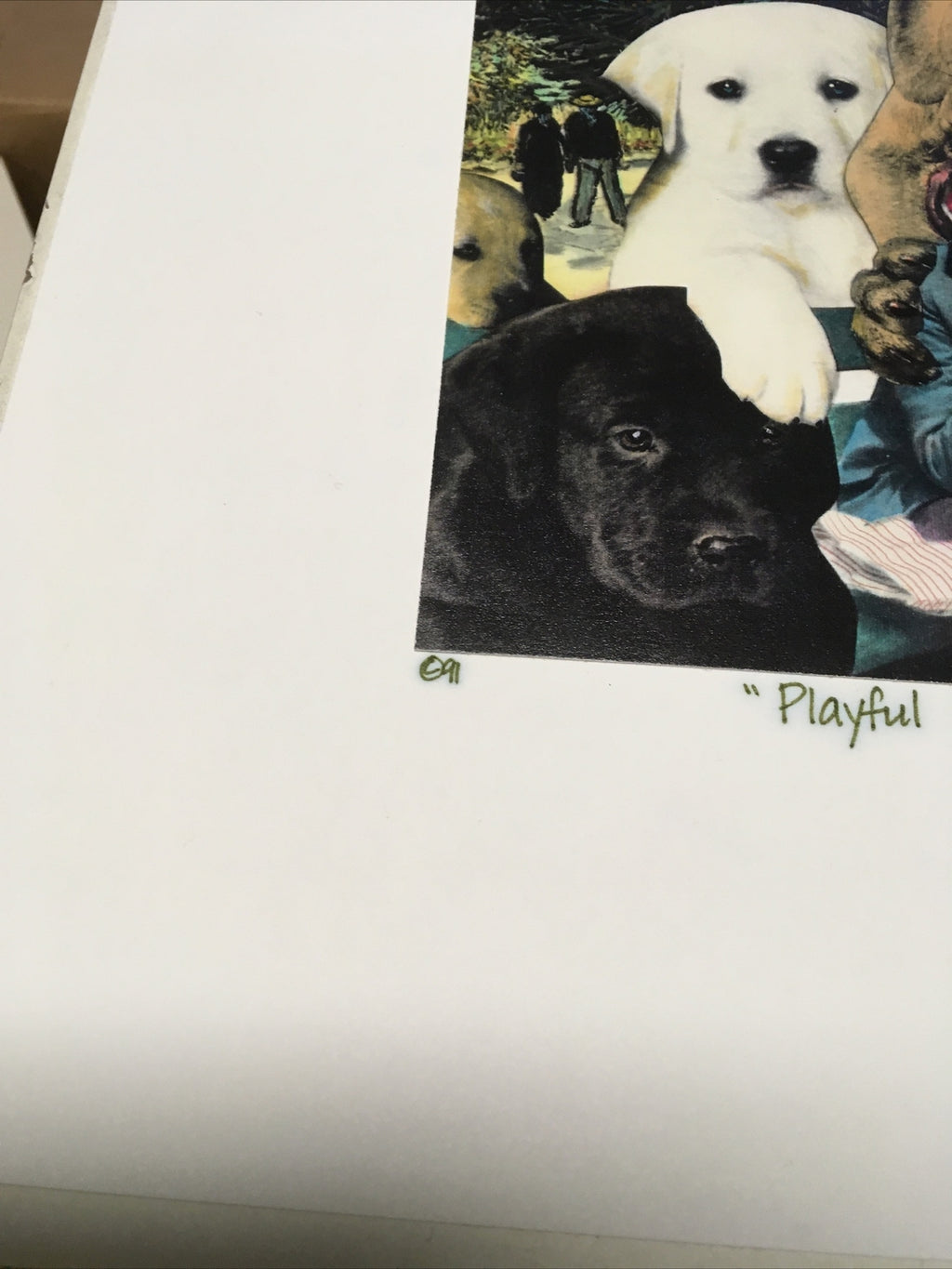 1991 Artist BARRY KITE Signed Print “Playful Puppies At Aries” Pop Art, 14”x11”5