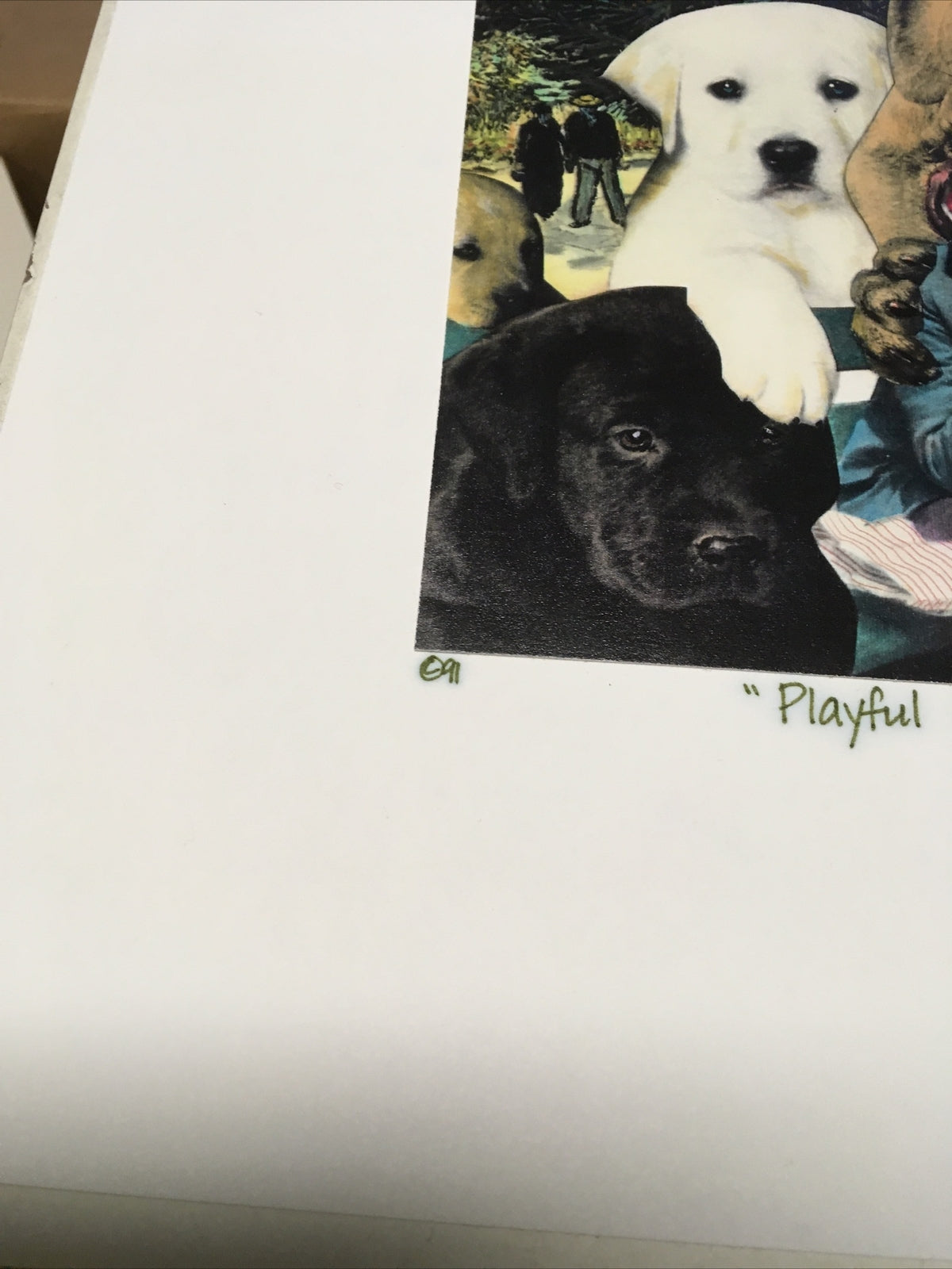 1991 Artist BARRY KITE Signed Print “Playful Puppies At Aries” Pop Art, 14”x11”5