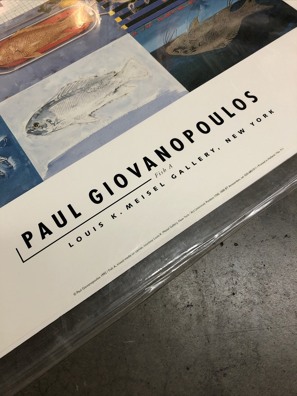 Paul Giovanopoulos Art “Fish A” Poster 36”x24.5”1