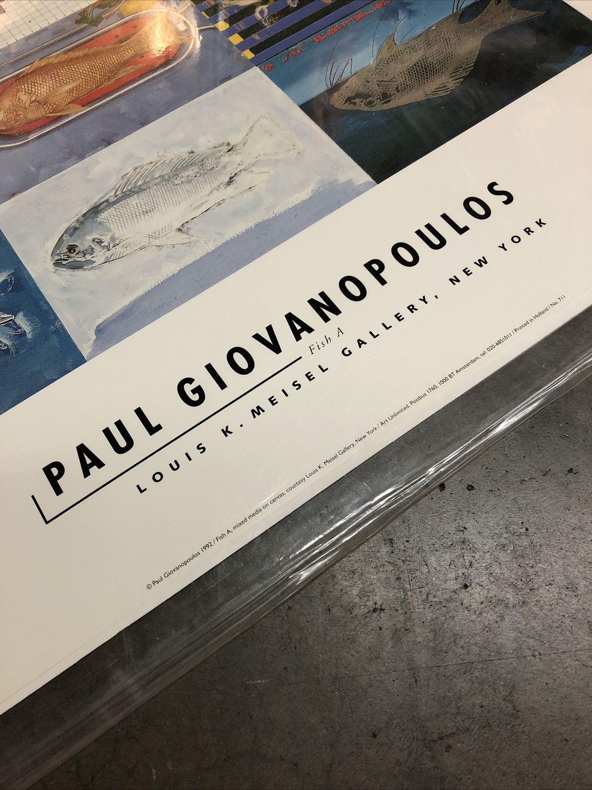 Paul Giovanopoulos Art “Fish A” Poster 36”x24.5”1