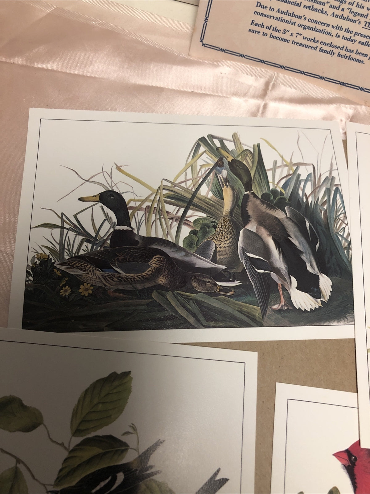 4 John James Audubon Litho Repros 5"x7" Birds & Duck Prints4