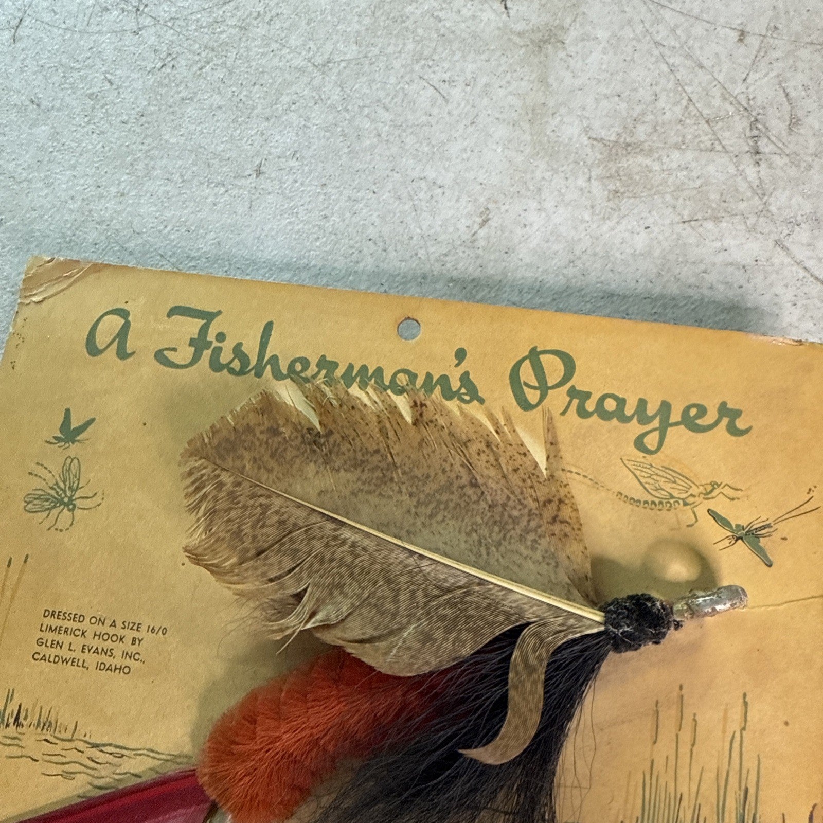 A Fishermans Prayer Bird Wing-Feather Decorative Fisherman's Fly Display3