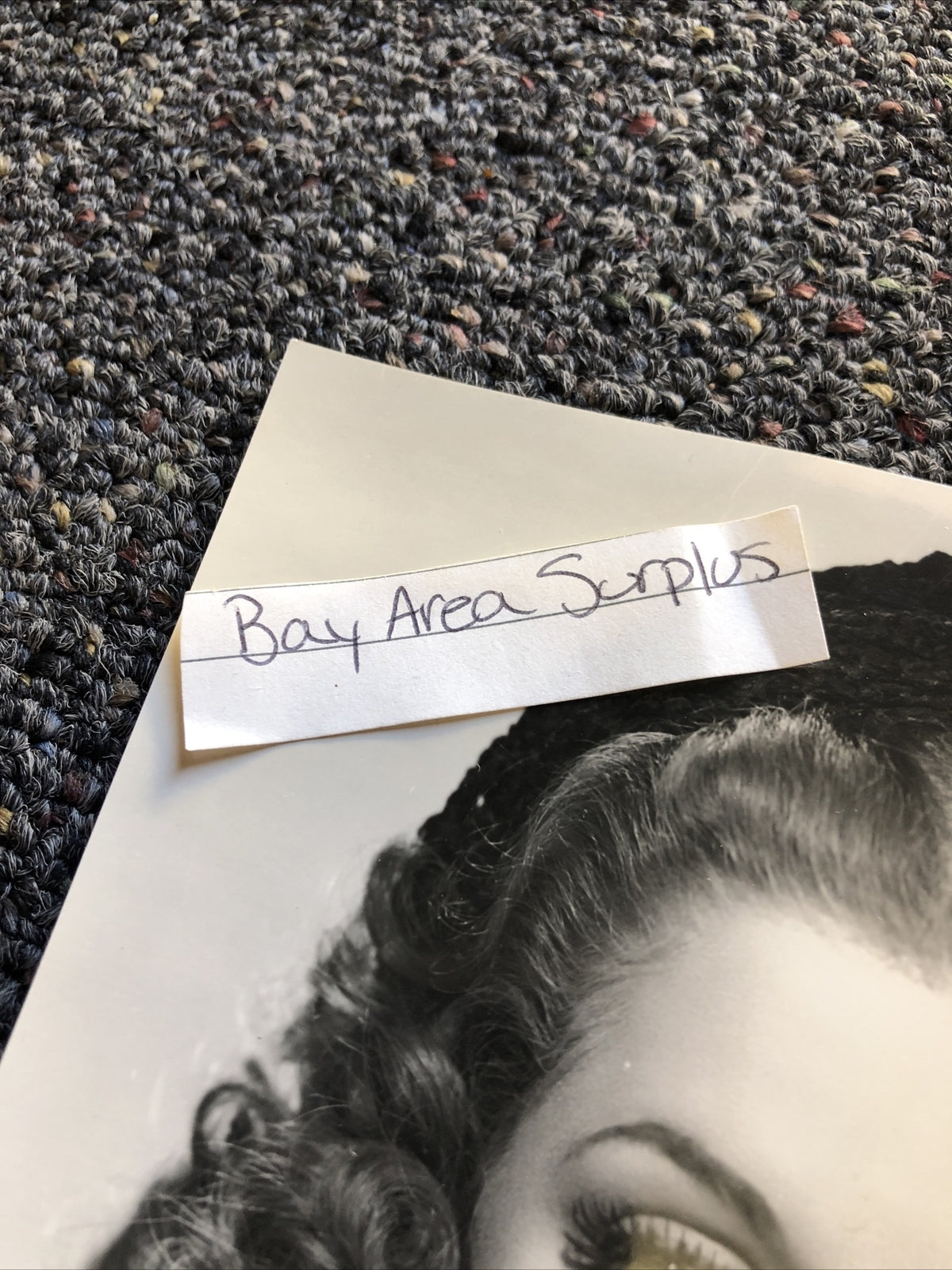 Rare Original Unpublished Glamour Photo Of Ann Sheridan 8”x6”3