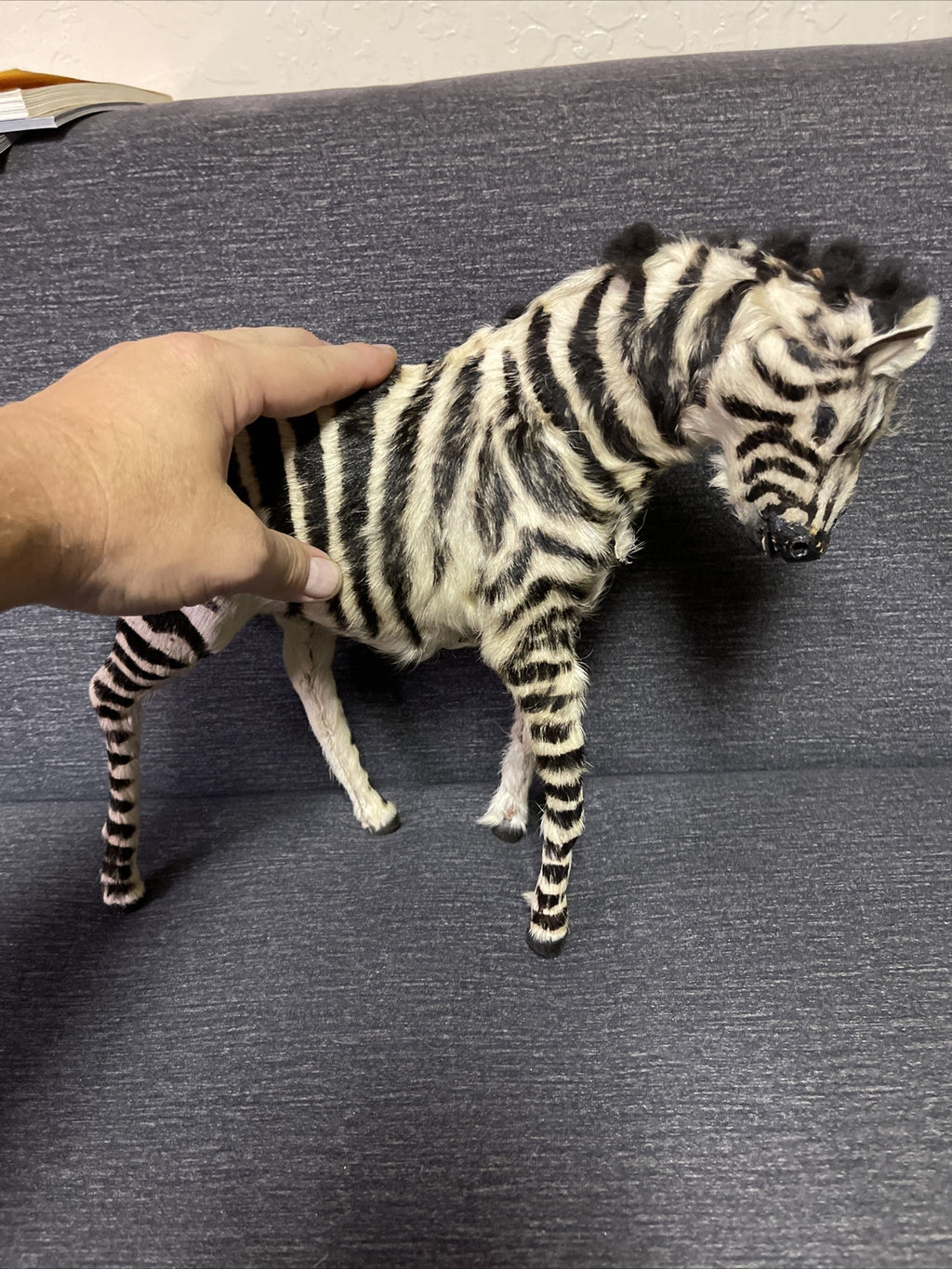 Large Antique Pull Toy Primitive Folk Art  Zebra Horse Incredible!!11