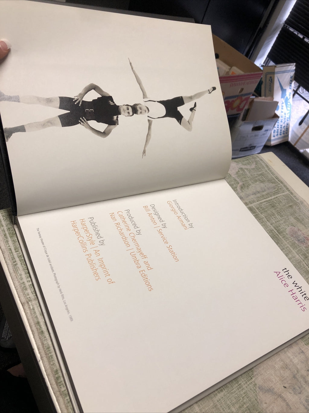 Alice Harris THE WHITE T 1st Edition 1st Printing3