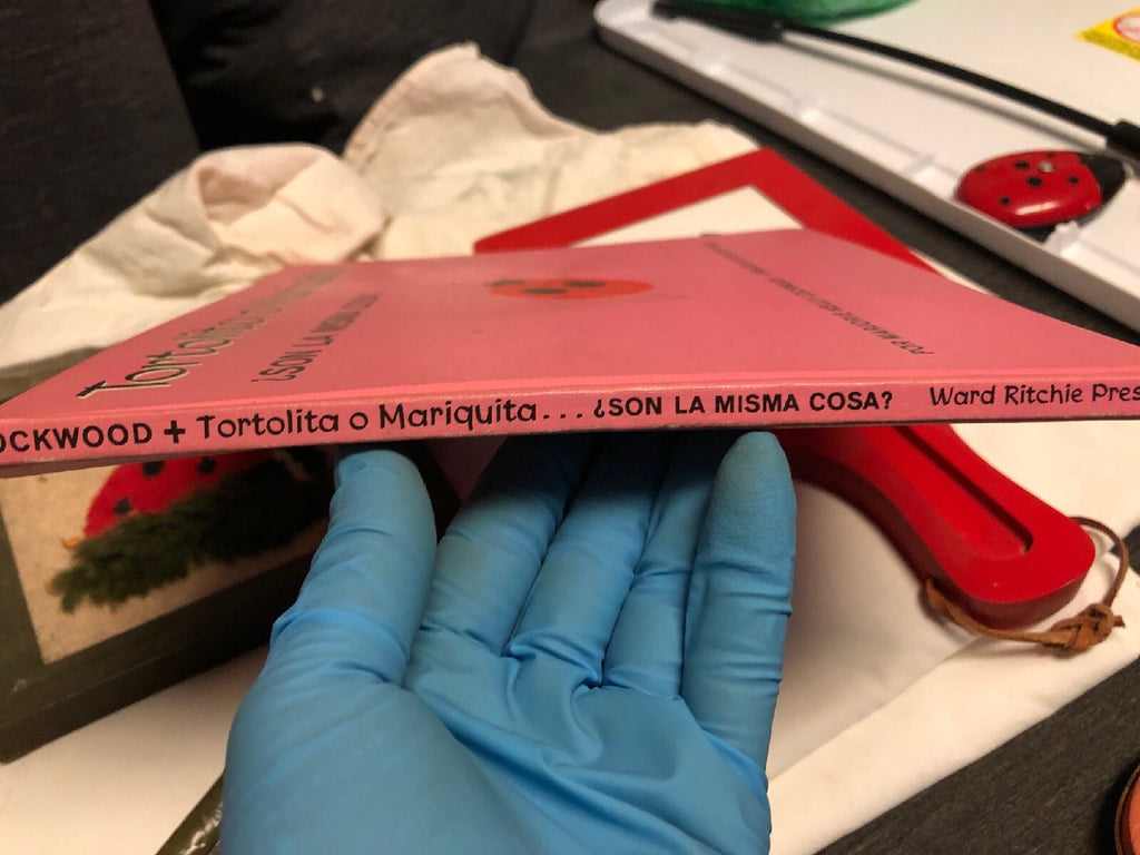 VTG 1972 RARE Ladybug Ward Ritchie Press Tortolita O Mariquita KELLY LOCKWOOD5