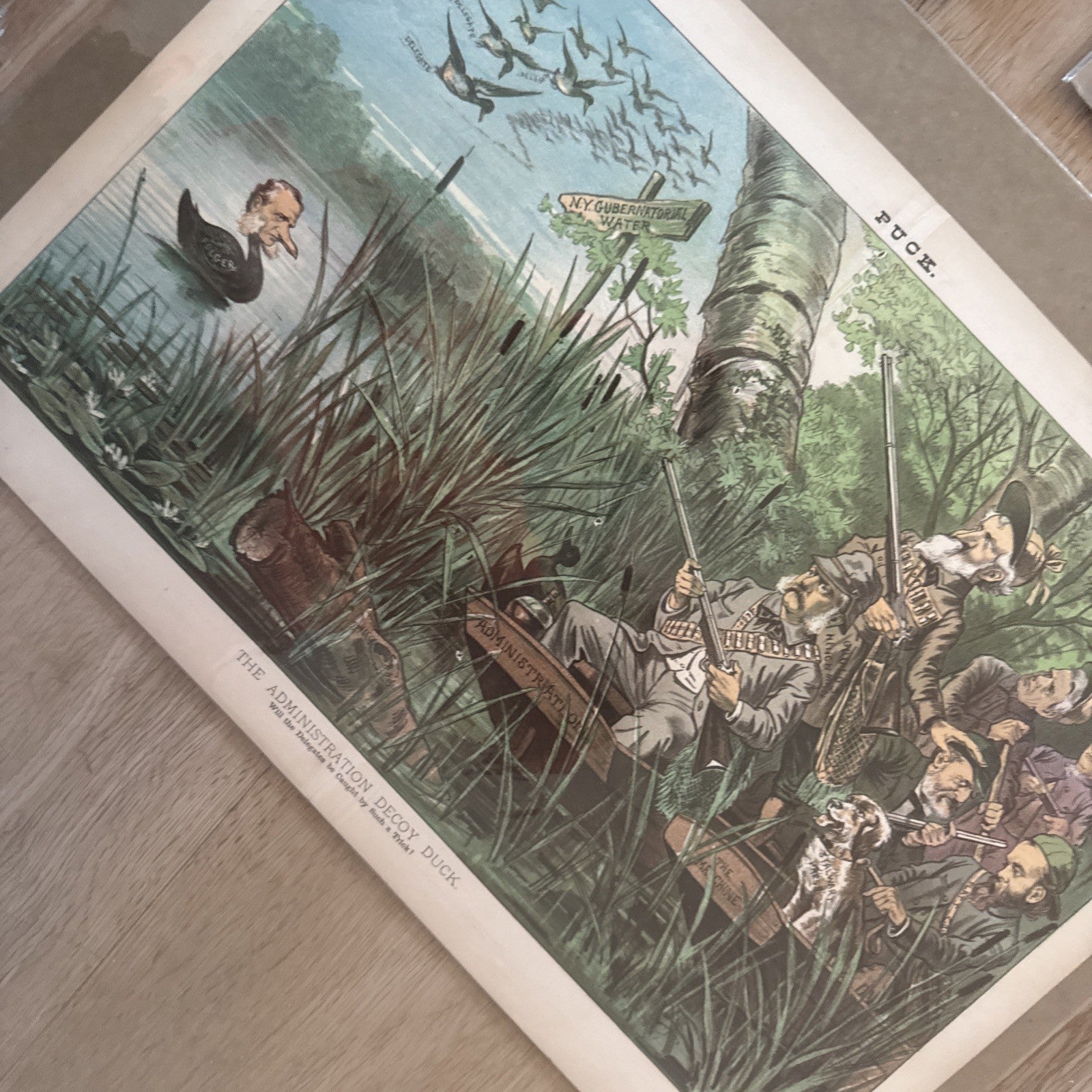 Lot Of 5 1880s Puck Centerfold Posters Democrats Republicans Political Humor2