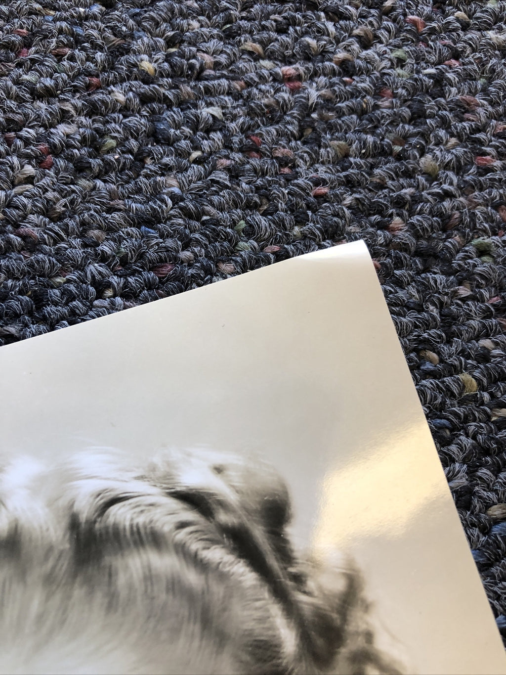 Rare Original Unpublished Photo Of ALICE FAYE Photograph Glamour Shot 7”x6”2