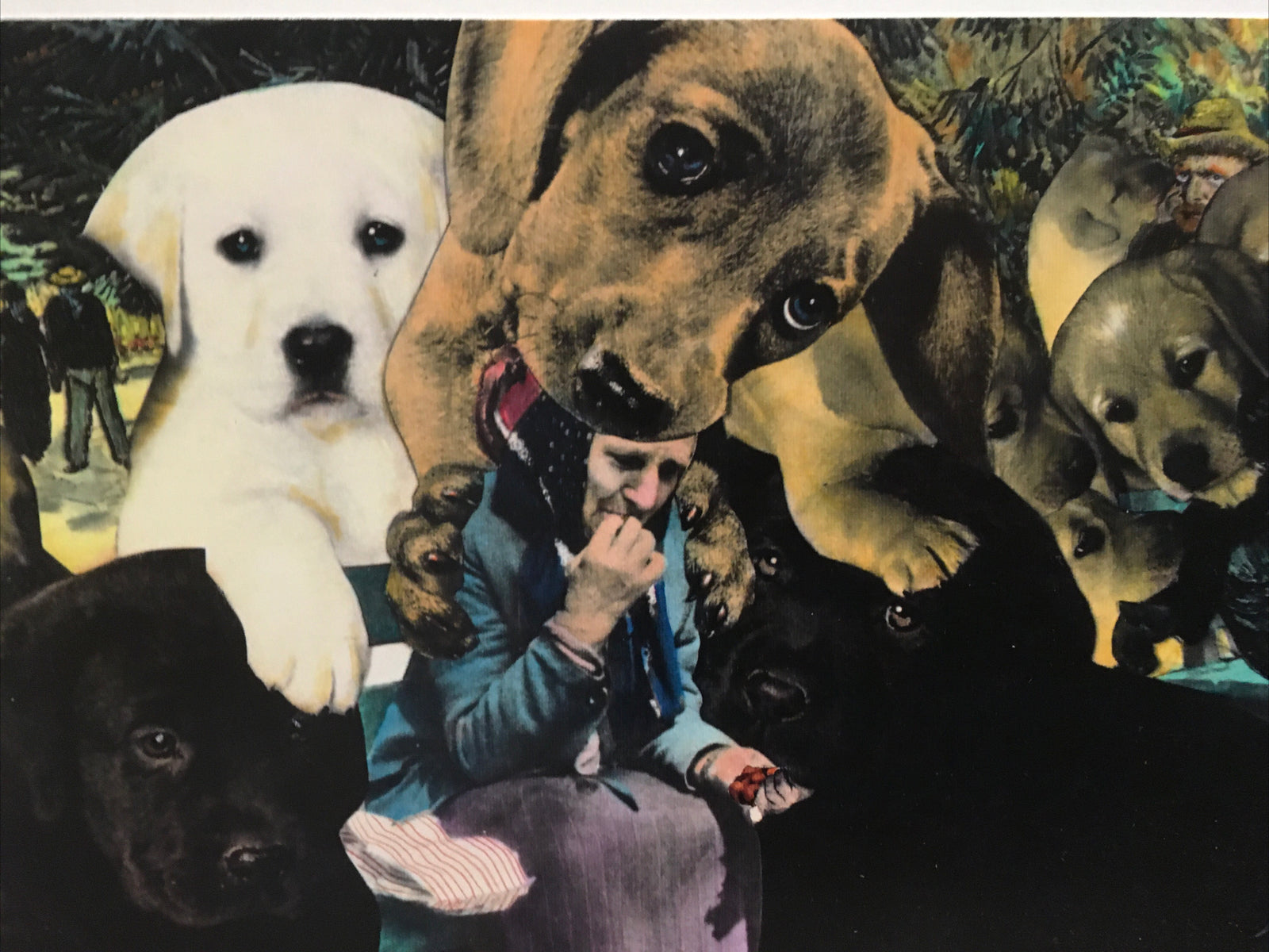 1991 Artist BARRY KITE Signed Print “Playful Puppies At Aries” Pop Art, 14”x11”0