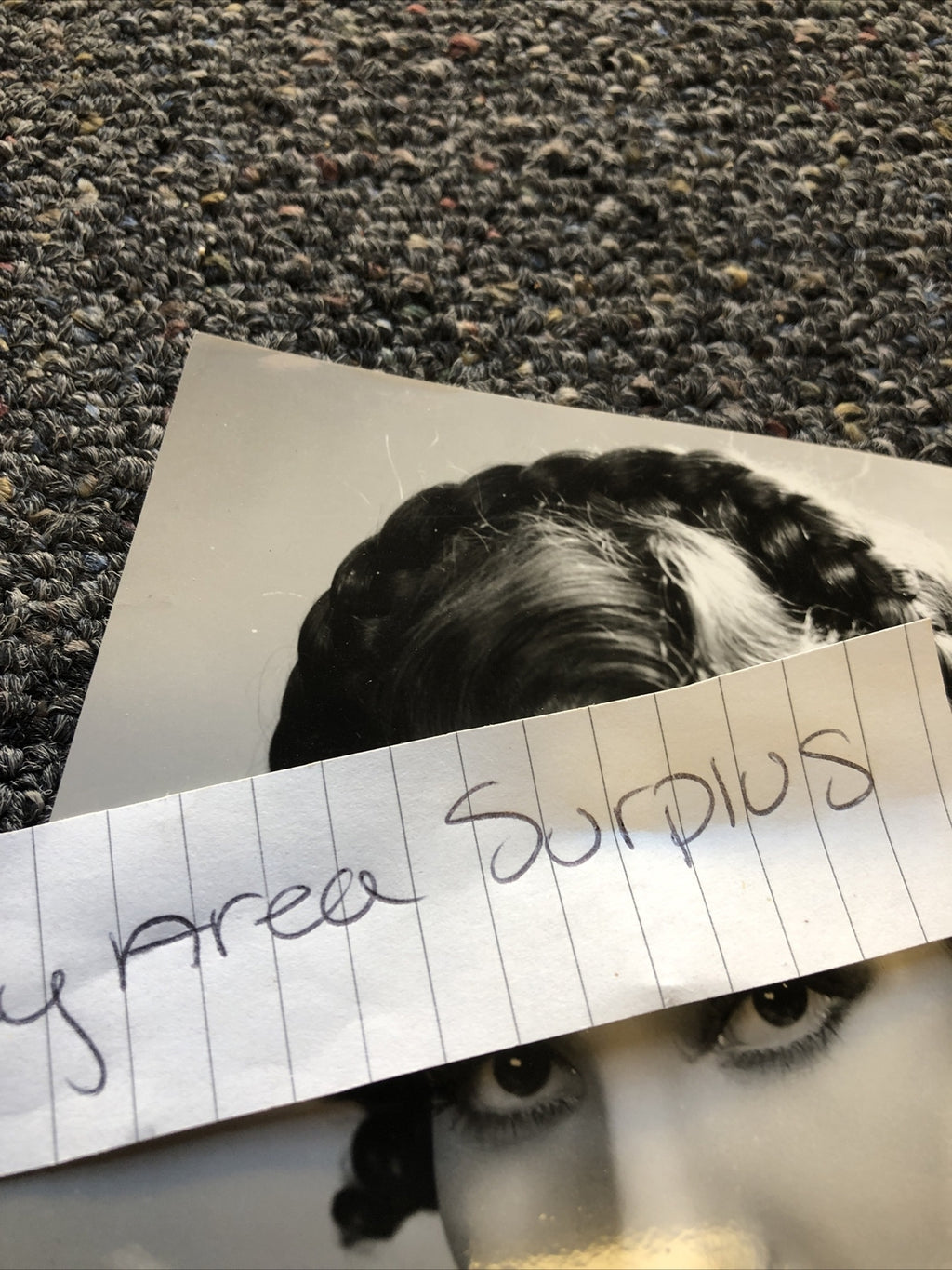 Rare Original Unpublished Photo Of BLANCA VISCHER 9”x6” Glamour Shot2
