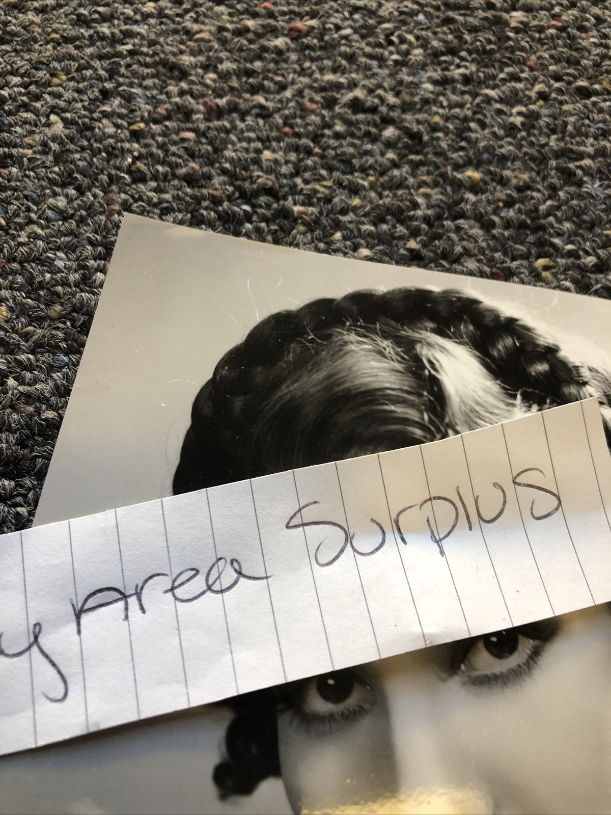 Rare Original Unpublished Photo Of BLANCA VISCHER 9”x6” Glamour Shot2
