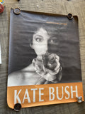 #186 1989 Kate Bush Sensual World Record Store Subway Promo Poster 45x36”0