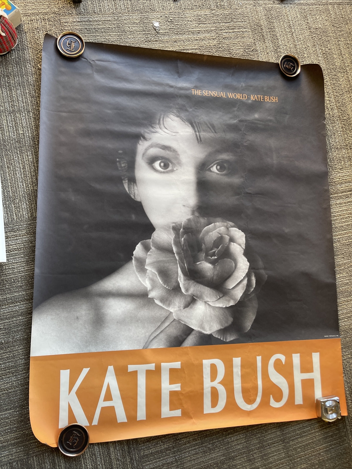#186 1989 Kate Bush Sensual World Record Store Subway Promo Poster 45x36”0