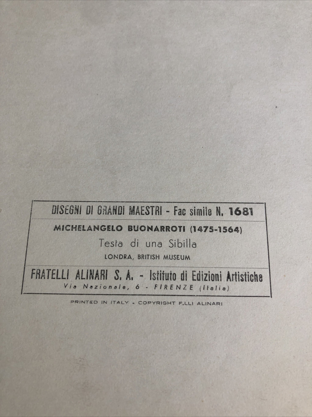 Italian print - MICHELANGELO'  "TESTA DI UNA SIBILLA” Londra, British Museum5