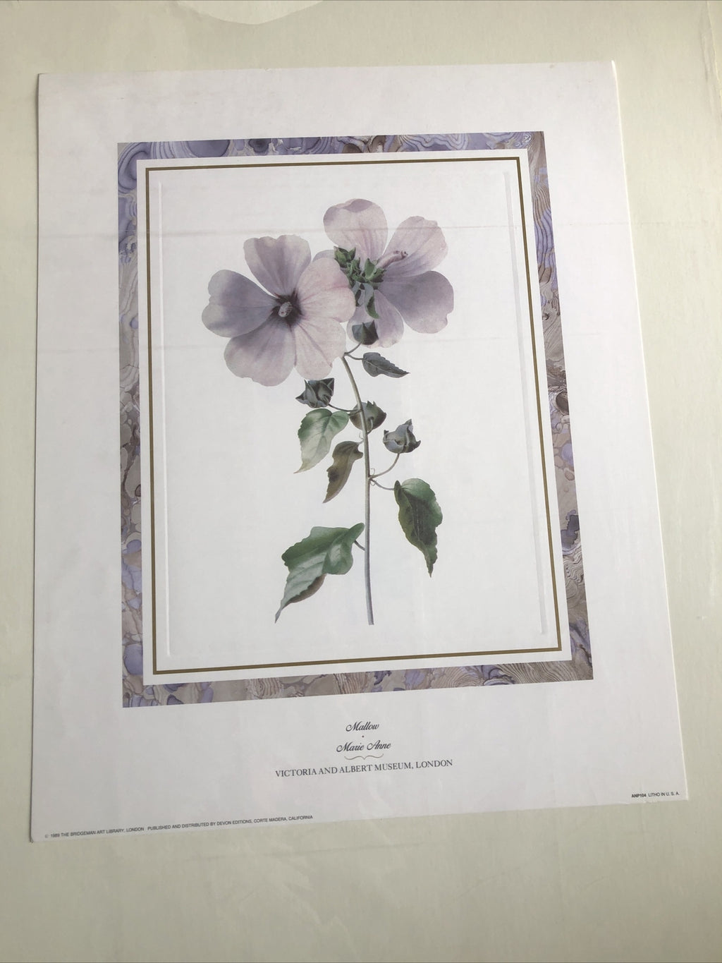 1989 The Bridgeman Art Library “Mallow” Marie Anne 20”x16”0