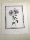 1989 The Bridgeman Art Library “Mallow” Marie Anne 20”x16”0