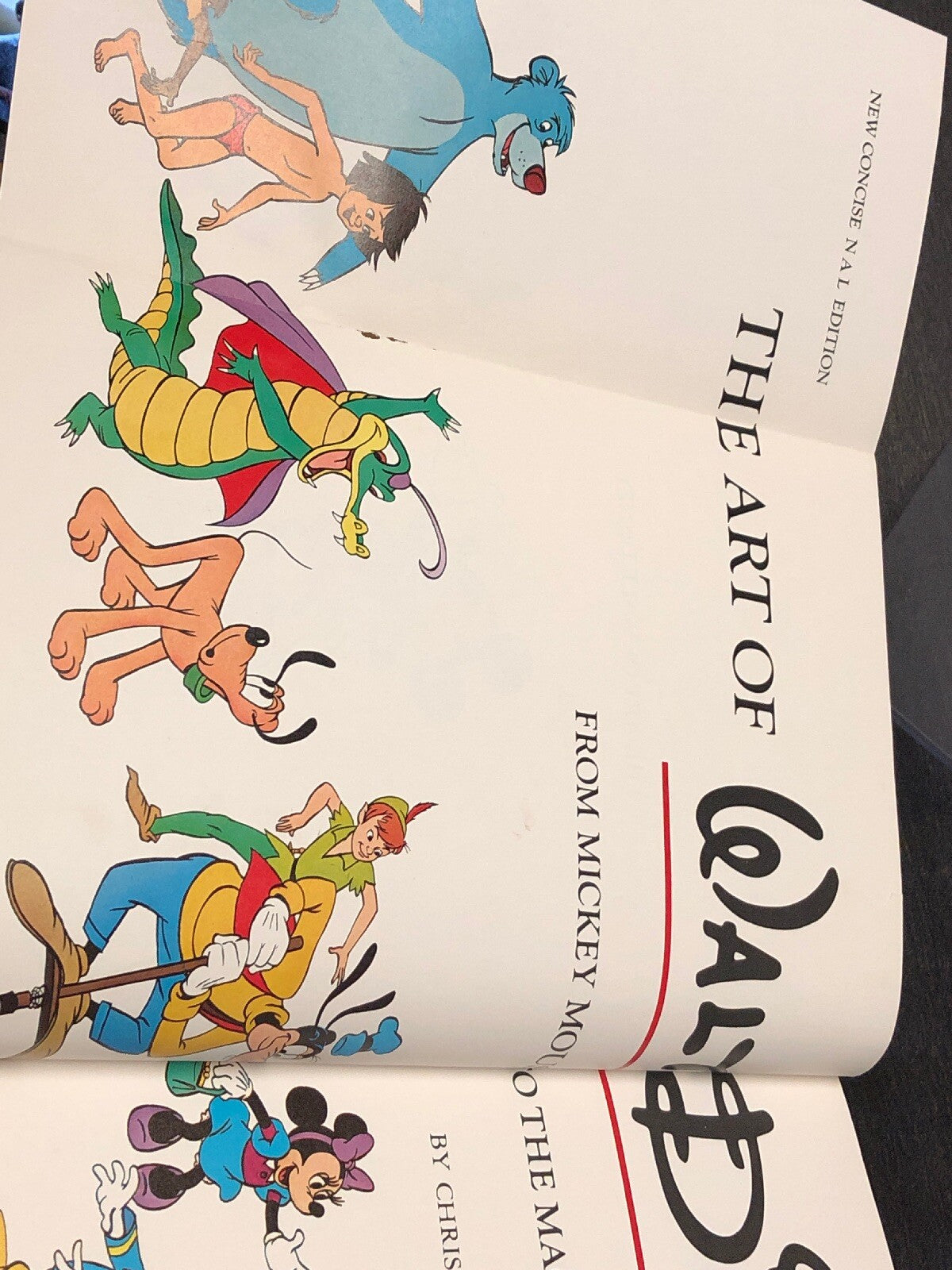 The Art of Walt Disney From Mickey Mouse To The Magic Kingdom 1975 Abrams HCDJ3