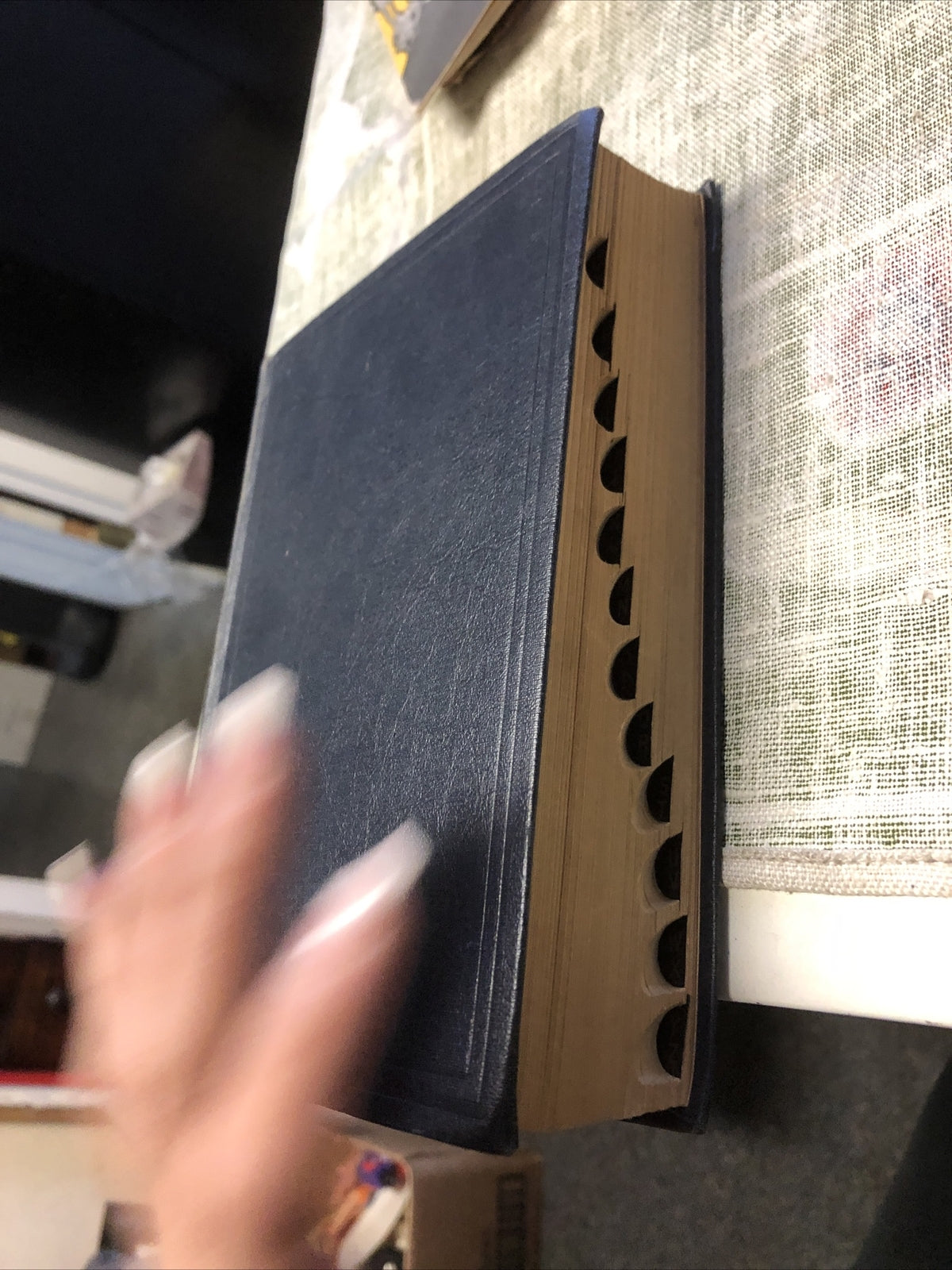 Stedman's Shorter Medical Dictionary 19533