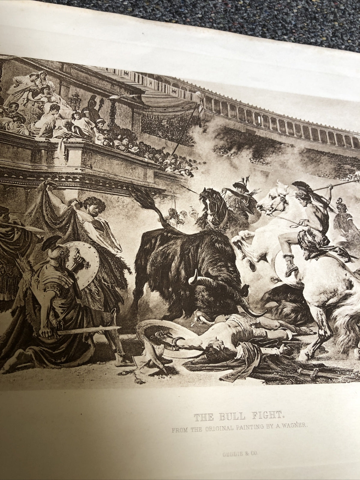Bull Fight In The Roman Arena By A.Wagner 1889 Photogravure Treasures Of Art10
