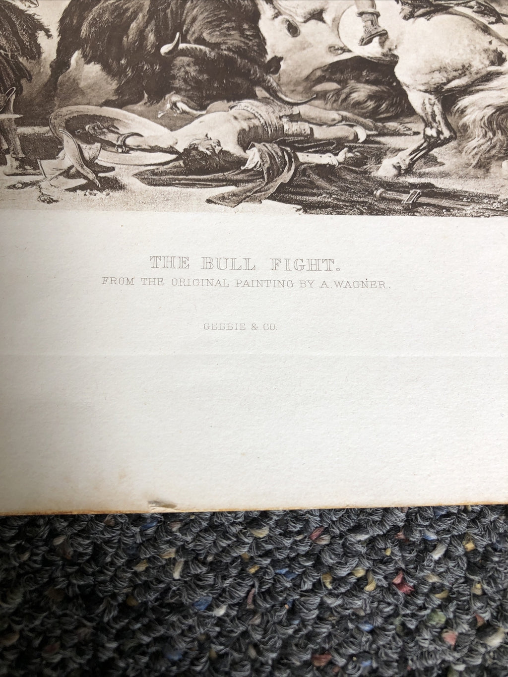Bull Fight In The Roman Arena By A.Wagner 1889 Photogravure Treasures Of Art4