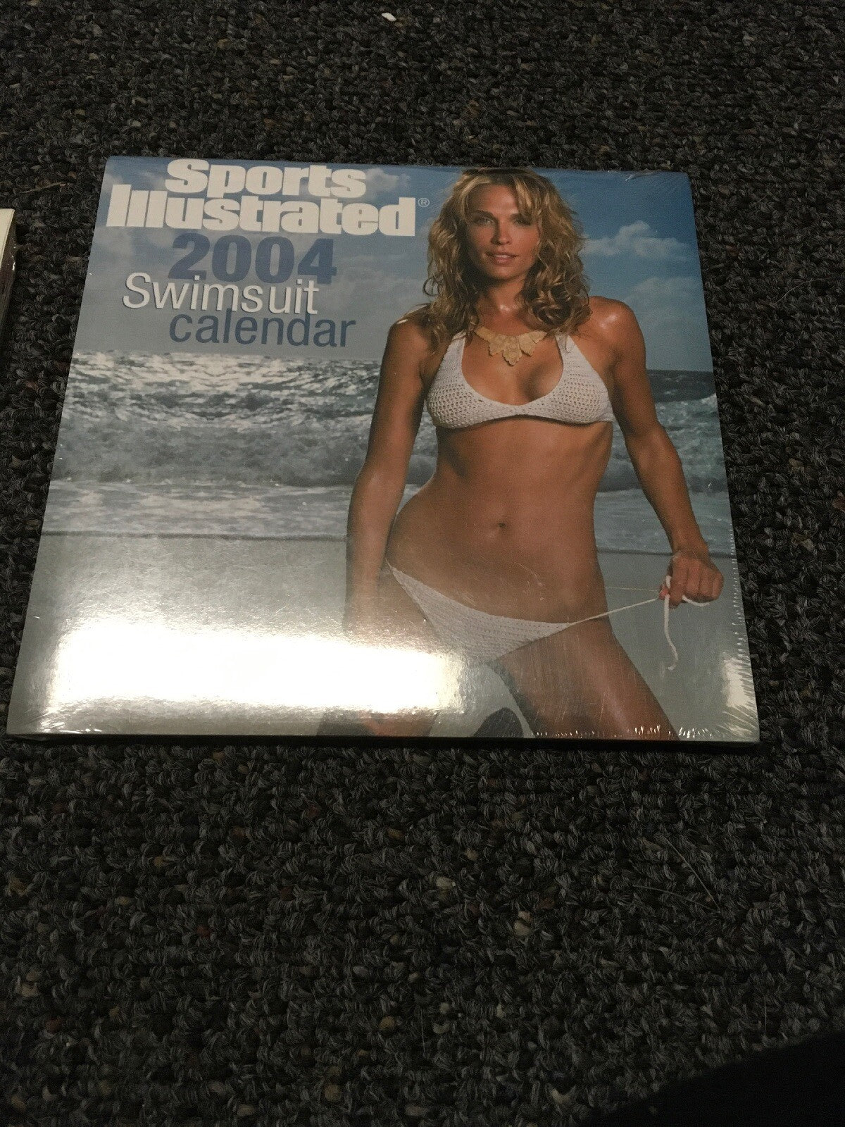 Lot 2: 2004 SPORTS ILLUSTRATED DAILY AT A GLANCE SWIMSUIT CALENDARs1