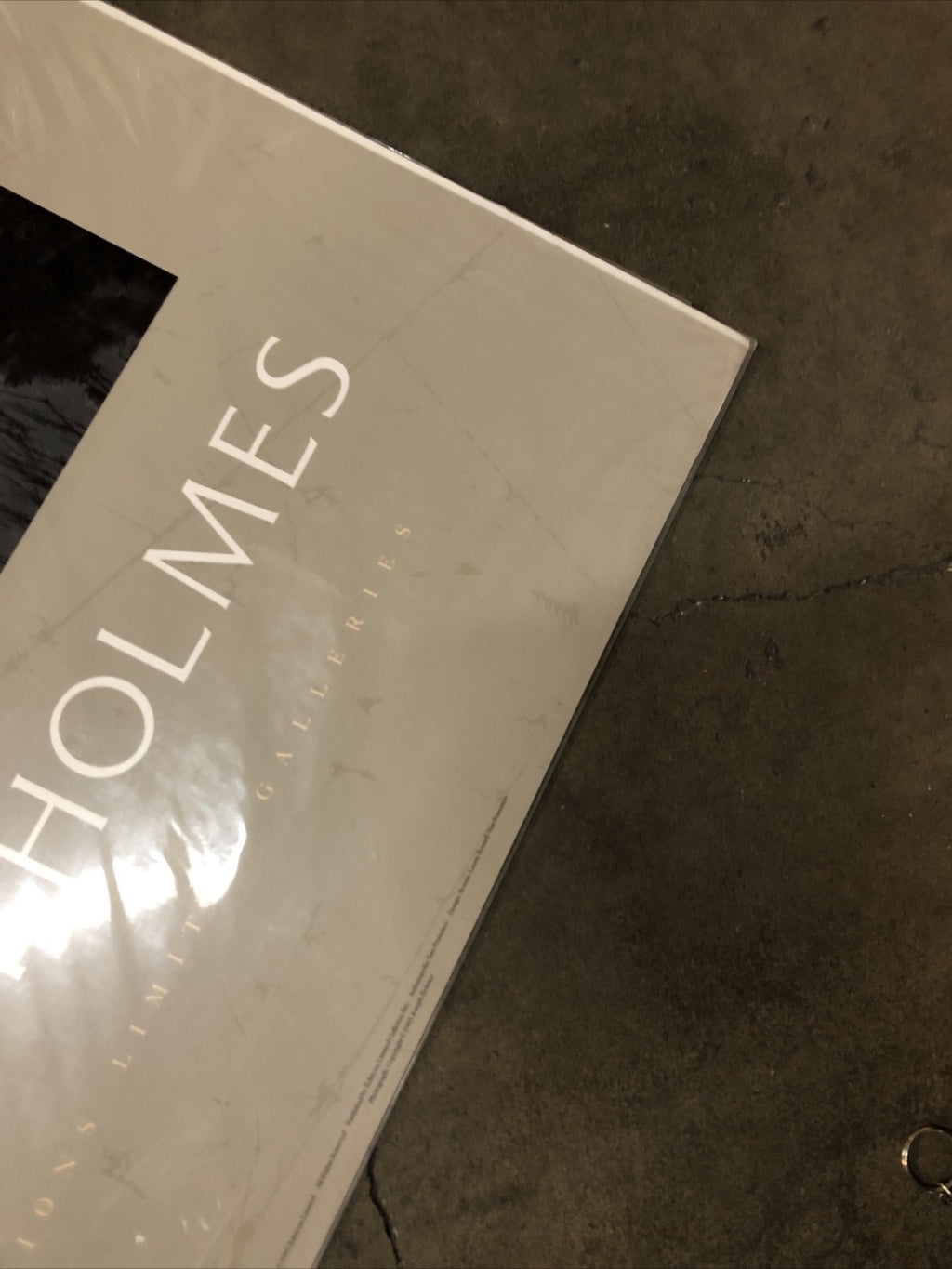 Joseph Holmes 1985 Editions Limited Galleries Poster 35”x25” (Trees In Fog)5