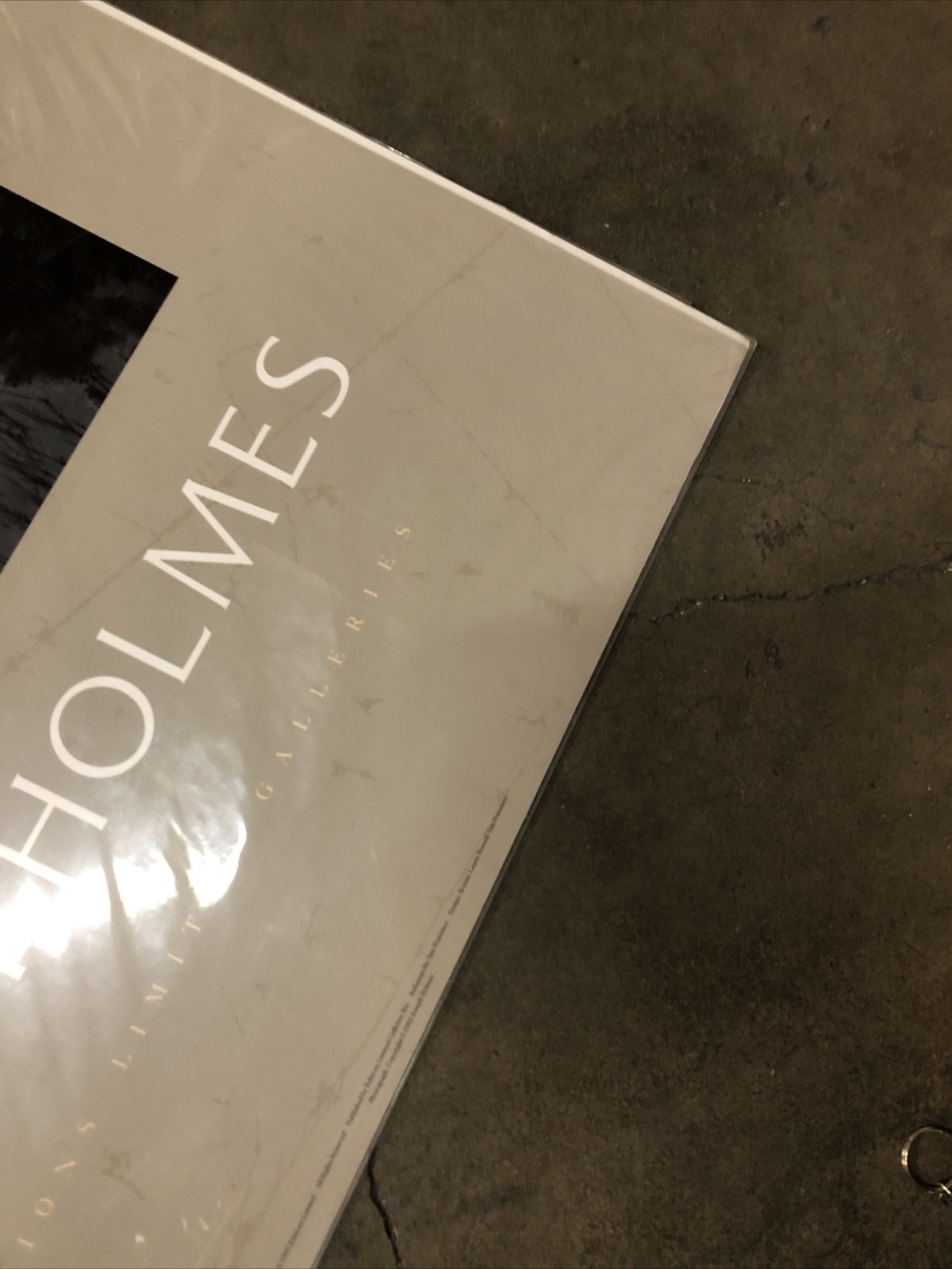 Joseph Holmes 1985 Editions Limited Galleries Poster 35”x25” (Trees In Fog)5