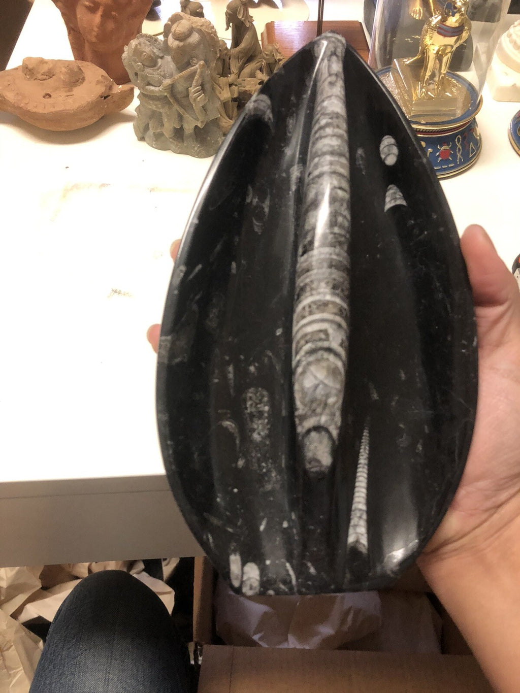 Natural Orthoceras Fossils Leaf Shape Stone Decoration4